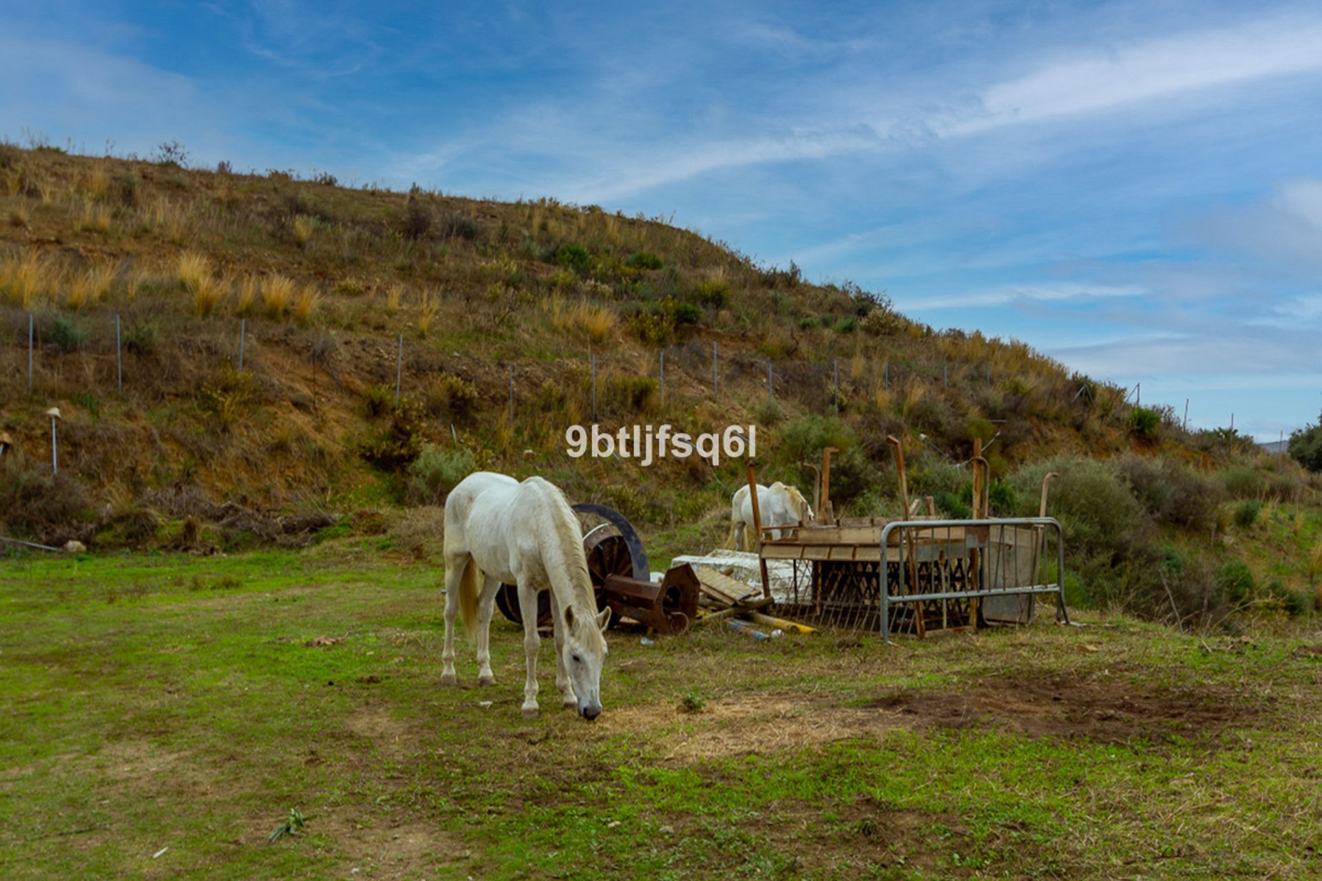 나라 에 Mijas, Andalucía 10720454