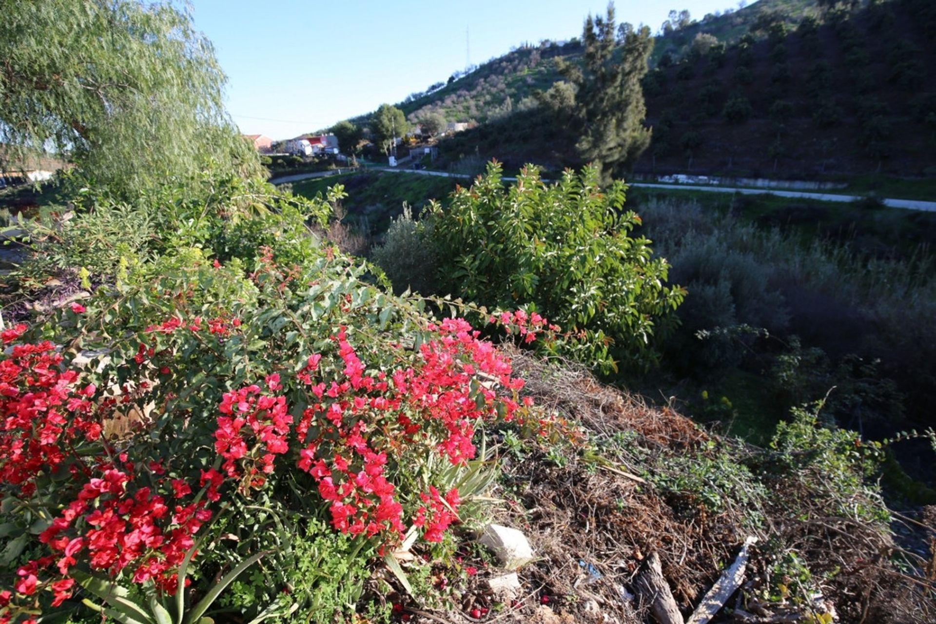 房子 在 , Andalucía 10720495