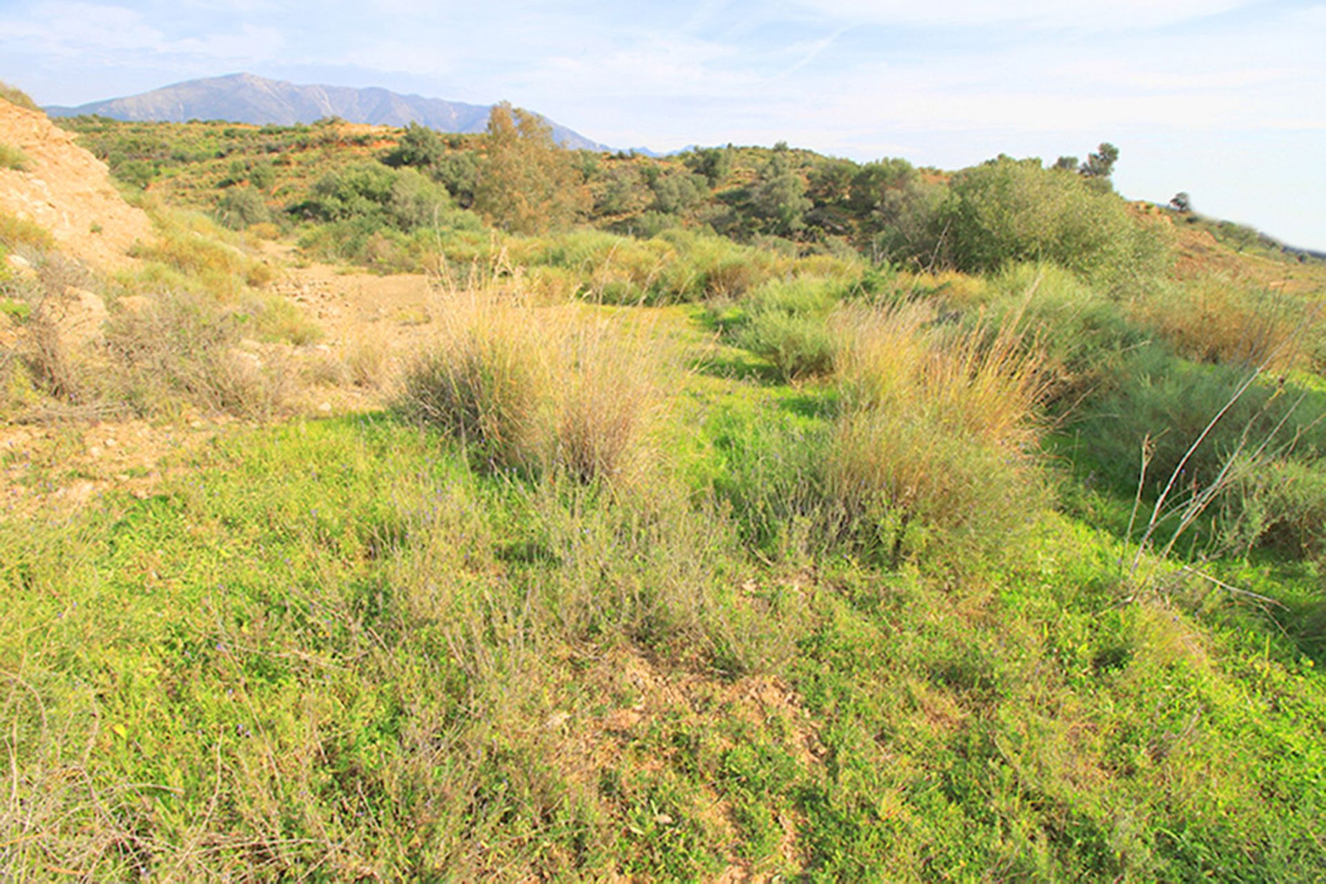 Land in Mijas, Andalucía 10720523