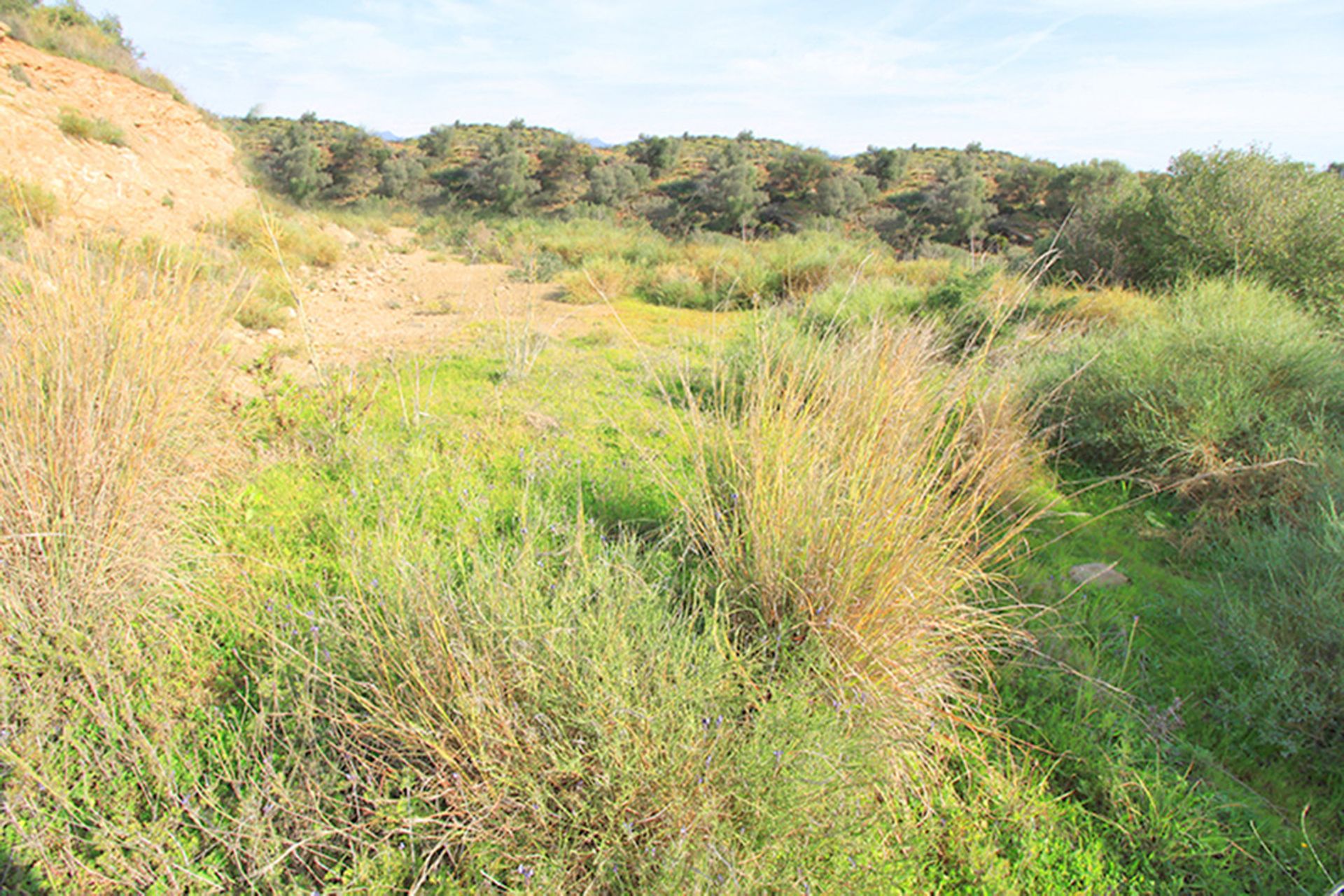 Land in Mijas, Andalucía 10720523