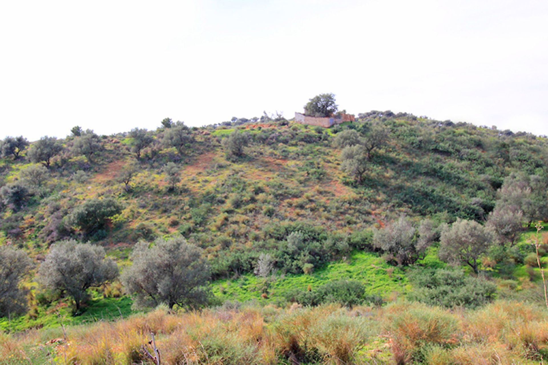 Land in Mijas, Andalucía 10720523