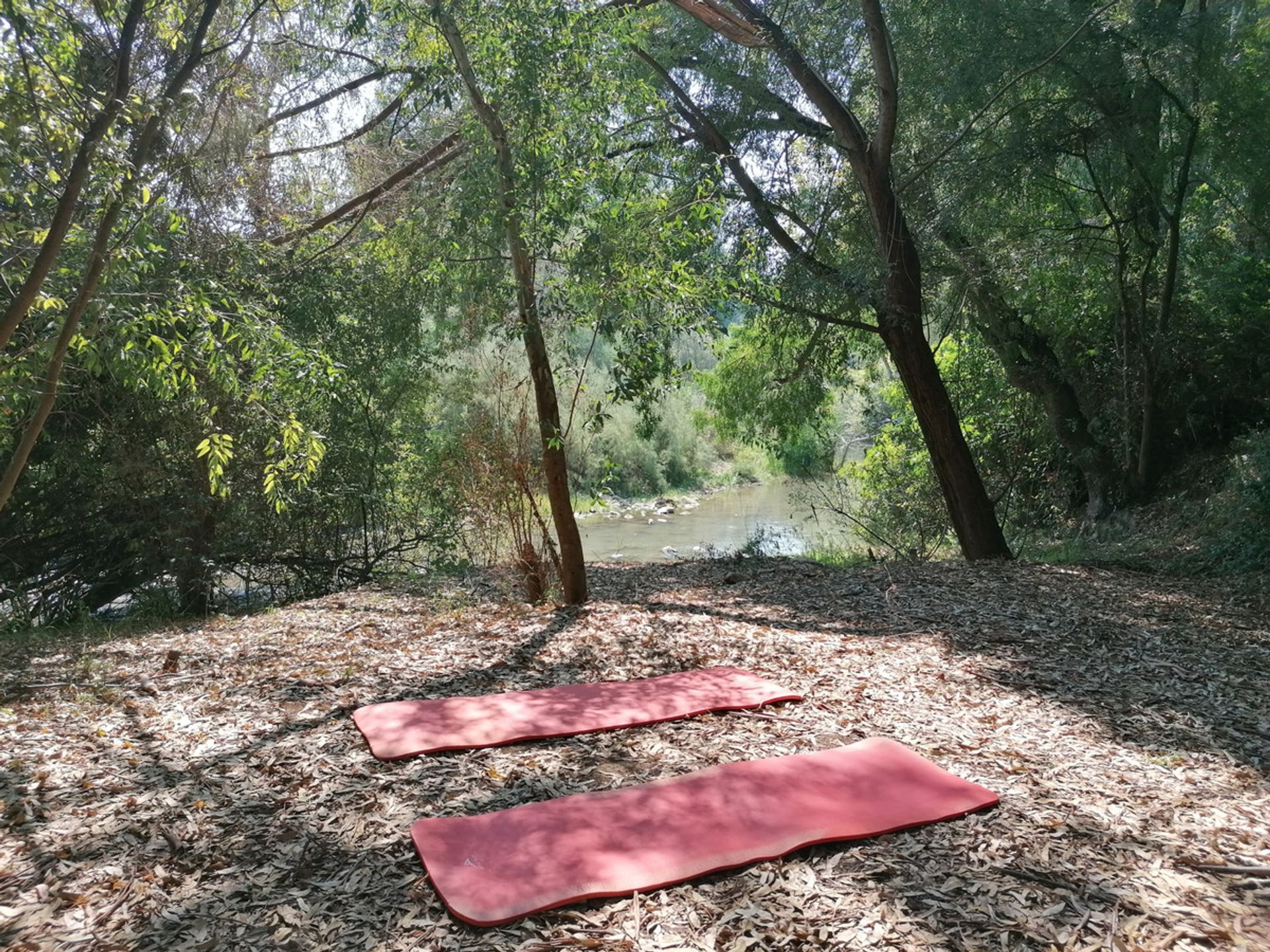 Будинок в Cortes de la Frontera, Andalucía 10721086