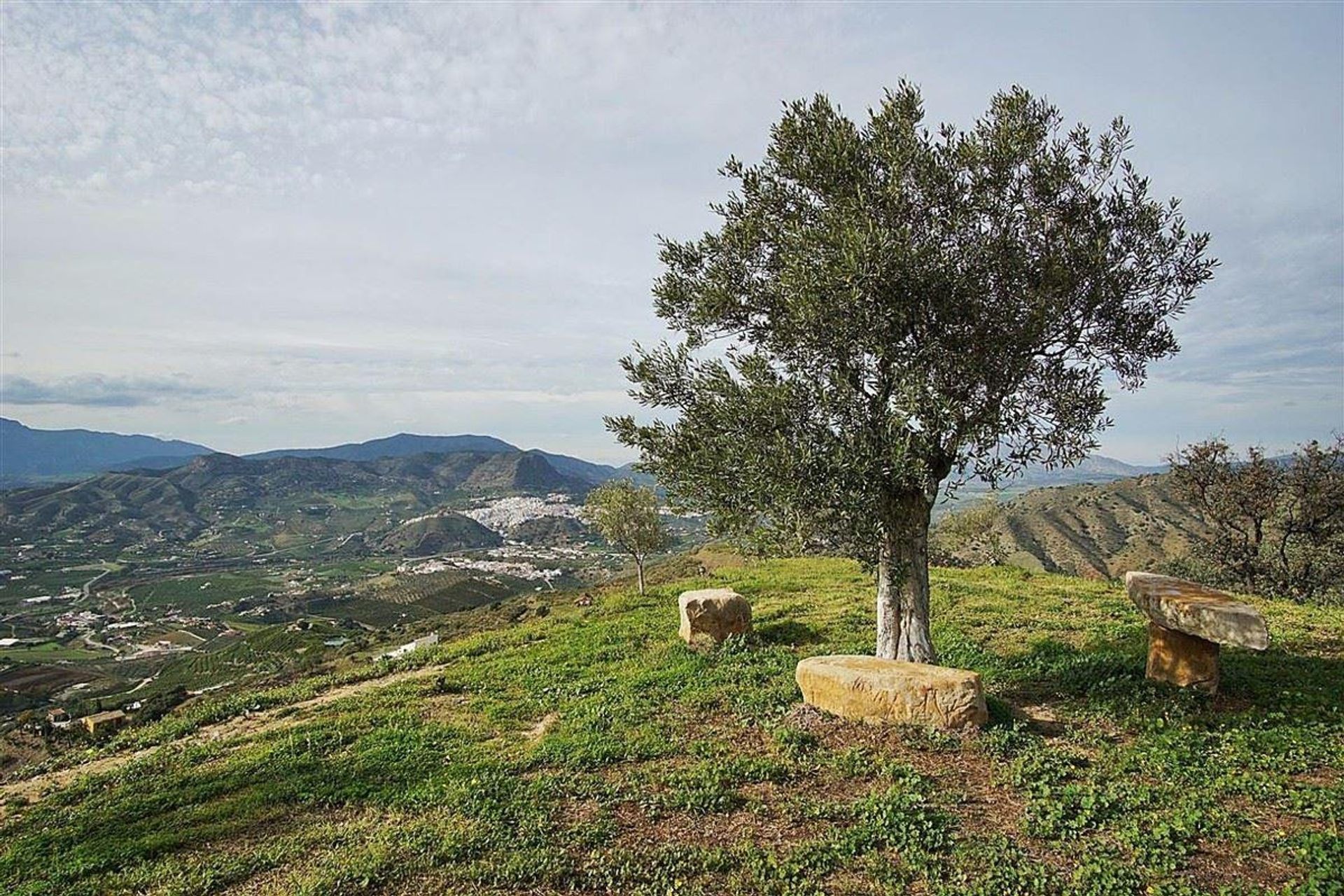 casa en Álora, Andalucía 10721439