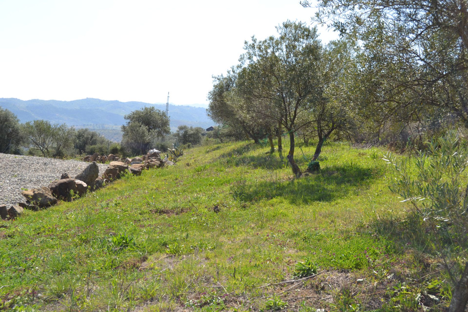 loger dans Tolox, Andalucía 10721617