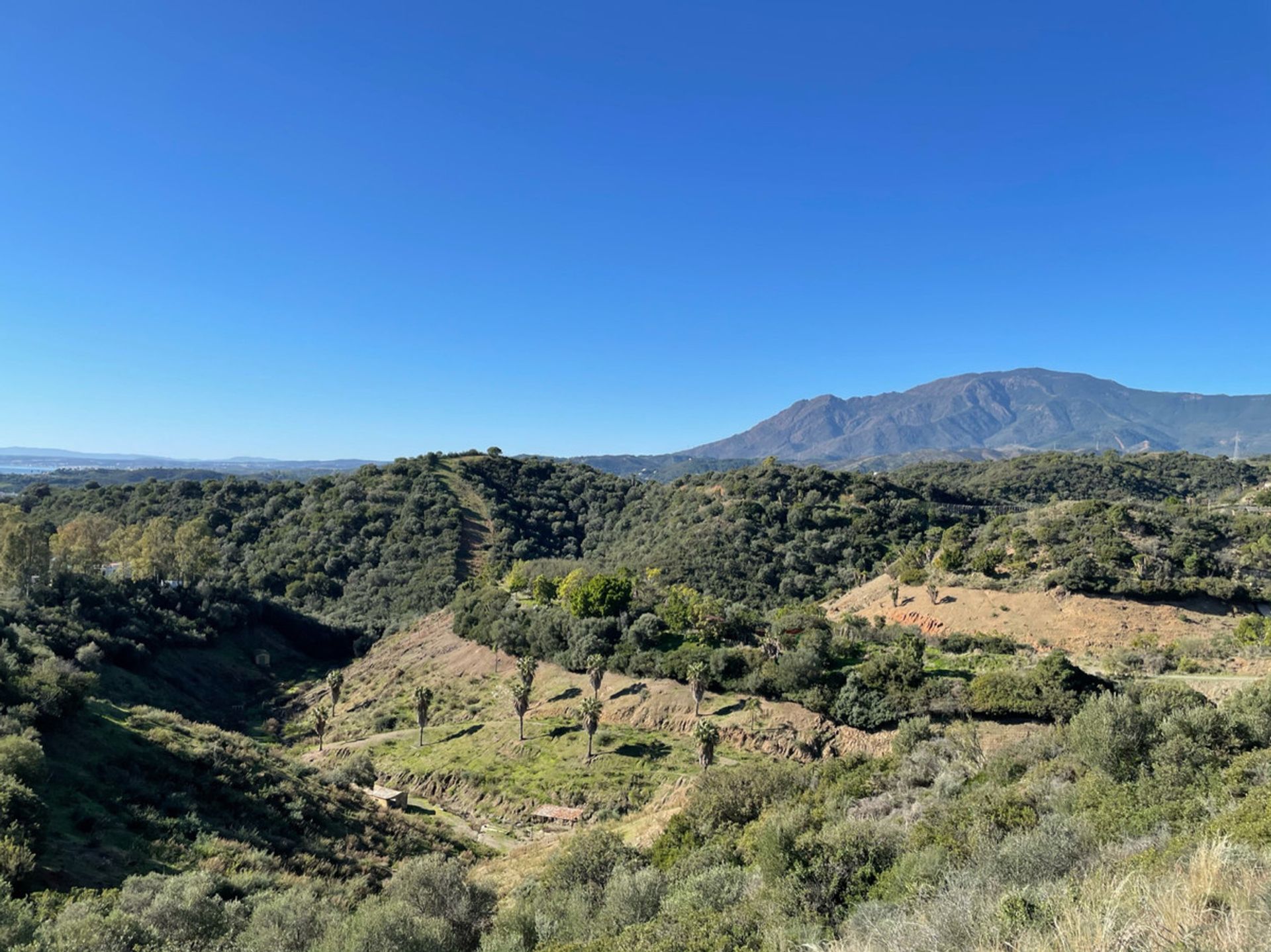 Tanah dalam Estepona, Andalusia 10721762