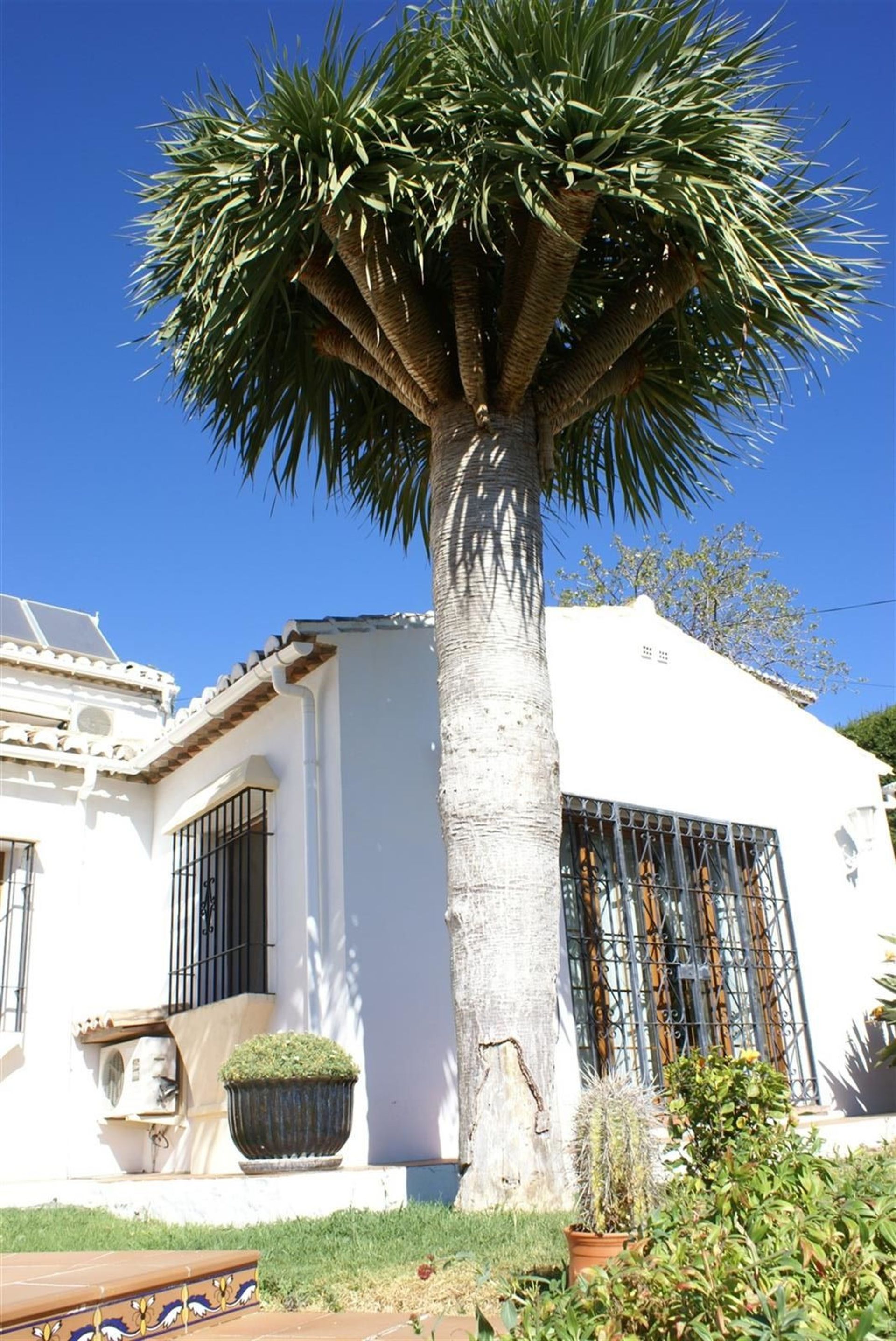 loger dans Mijas, Andalucía 10721790