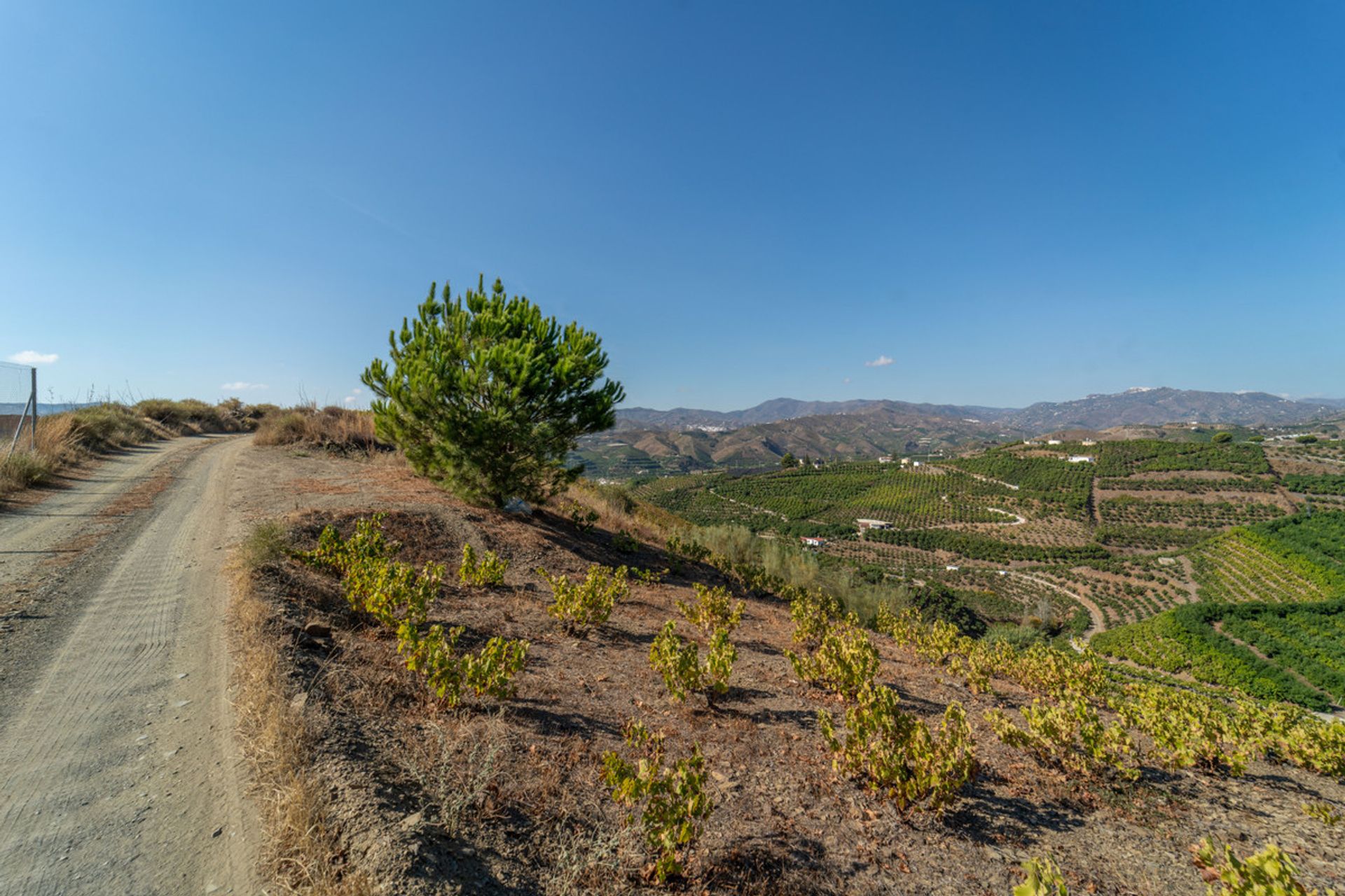 loger dans , Andalucía 10721906