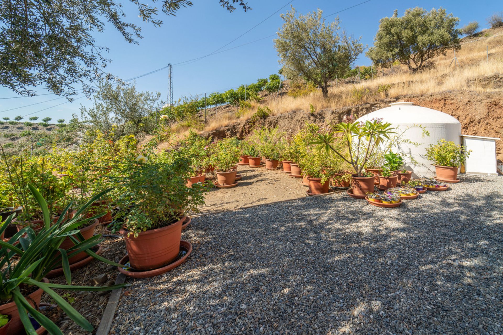 loger dans , Andalucía 10721906