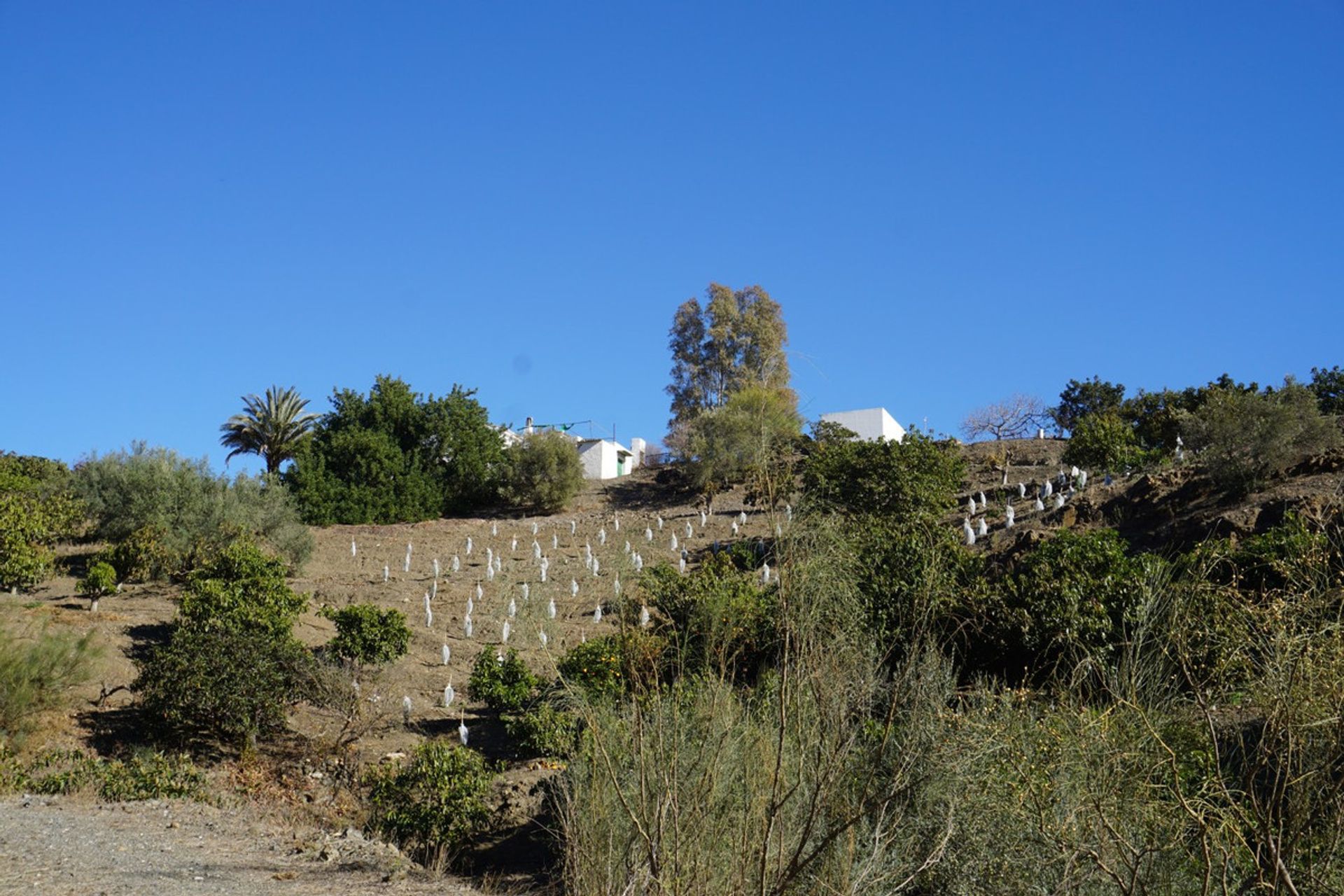 房子 在 Viñuela, Andalucía 10721913