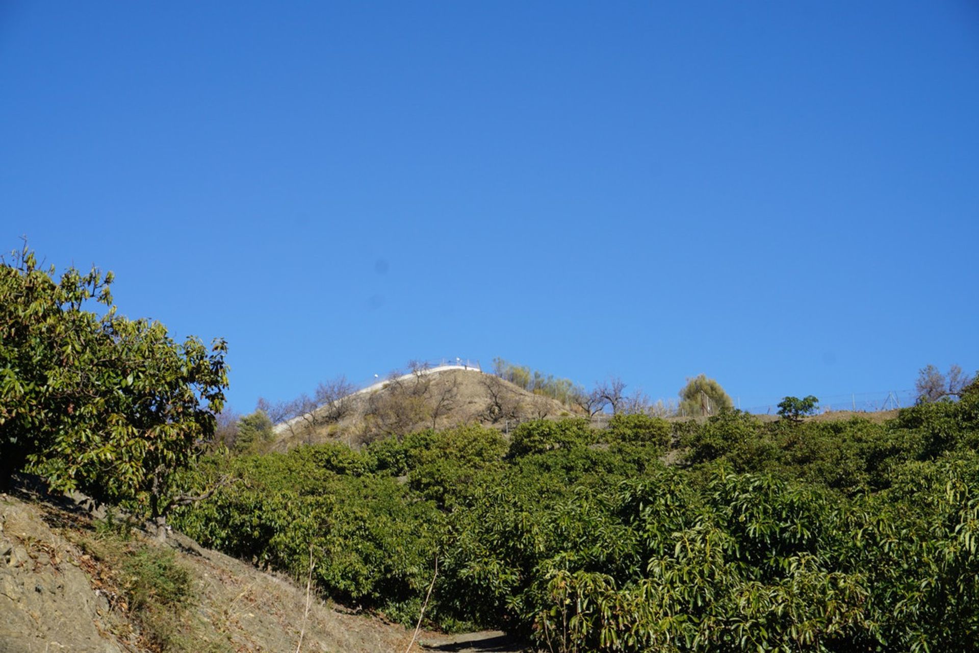 房子 在 Viñuela, Andalucía 10721913