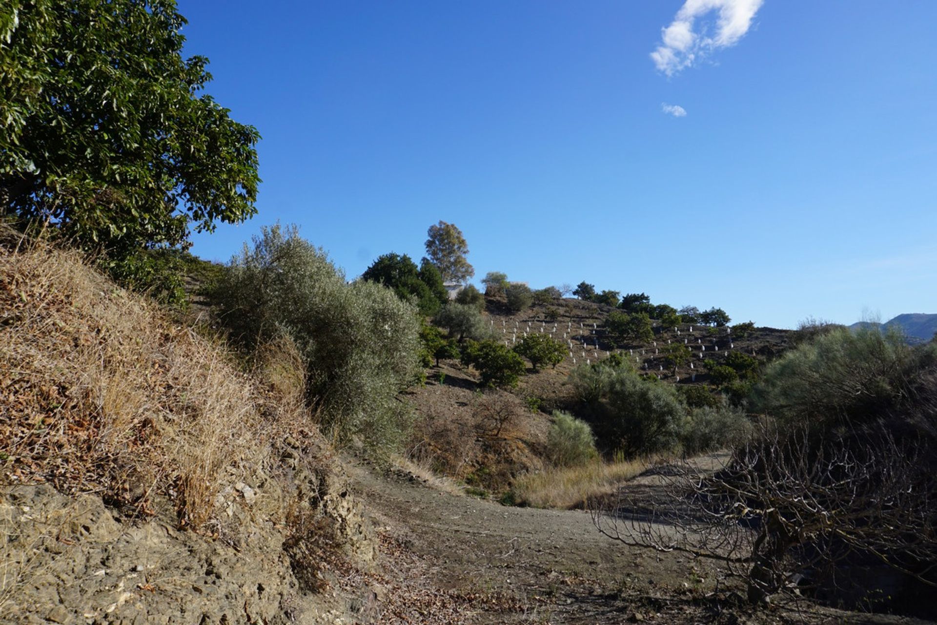 房子 在 Viñuela, Andalucía 10721913