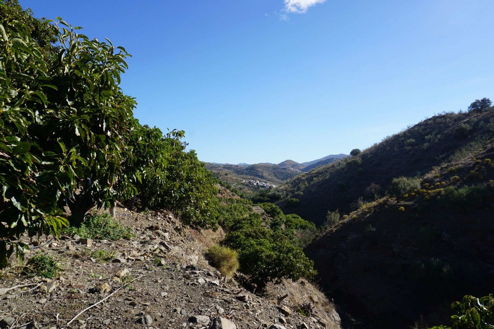 房子 在 Viñuela, Andalucía 10721913