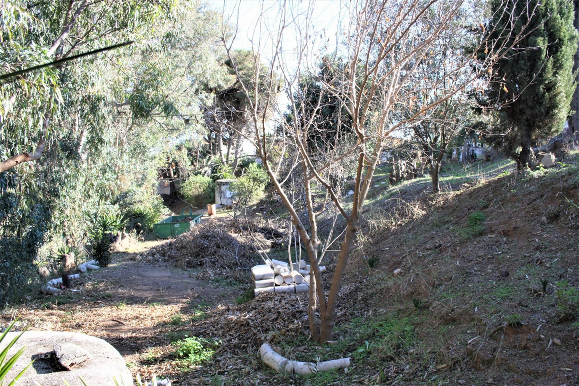 Haus im Benajarafe, Andalucía 10722142