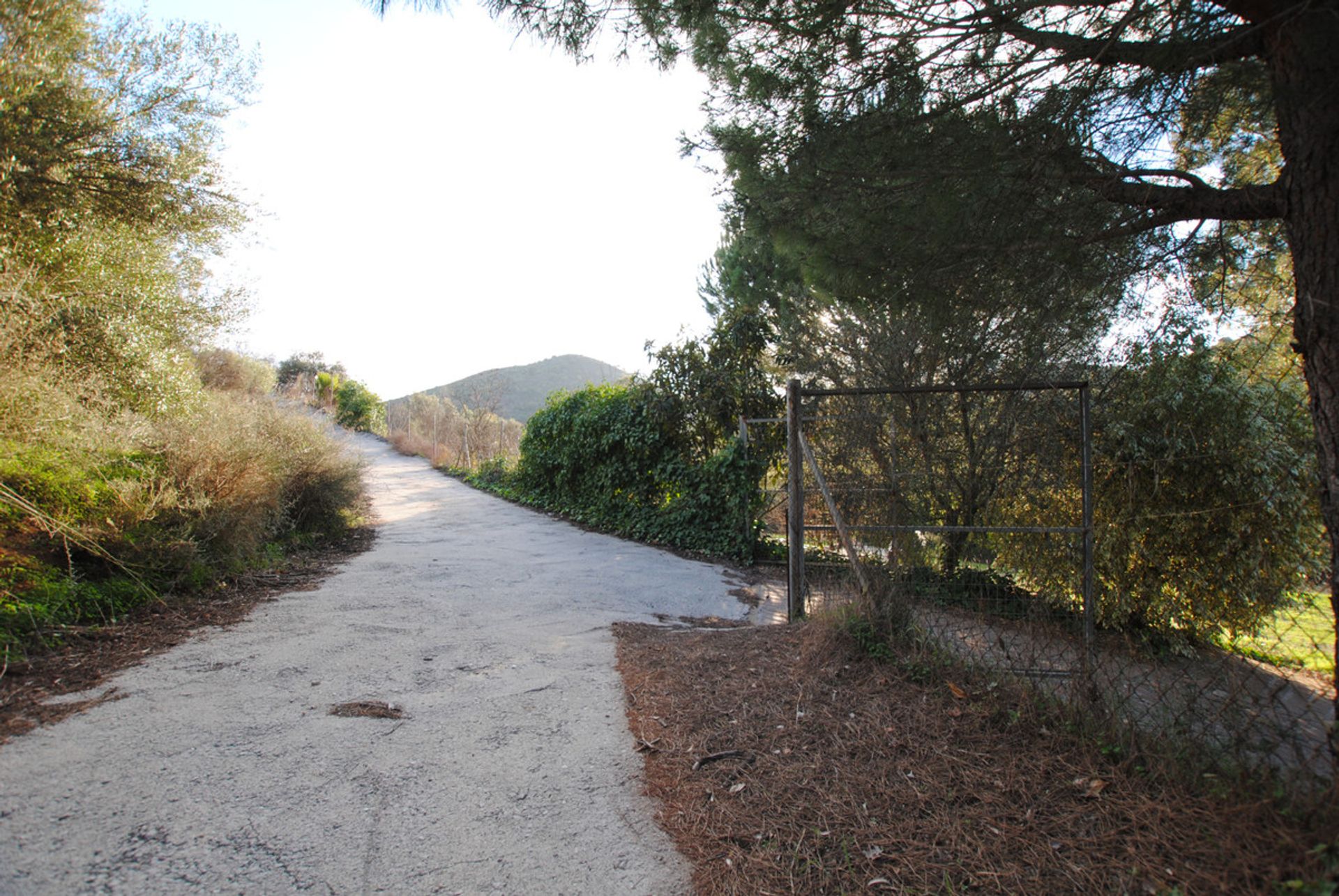 Tanah di San Pedro de Alcantara, Andalusia 10722144