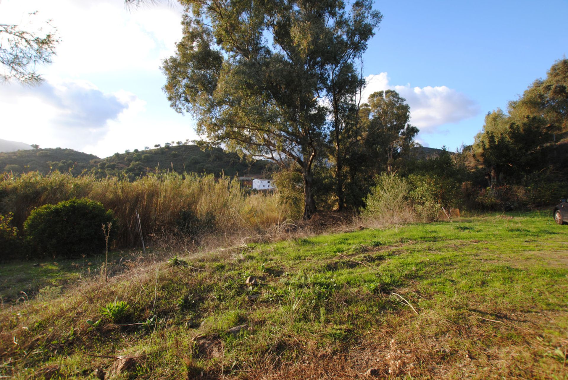 Land in San Pedro de Alcantara, Andalusia 10722144