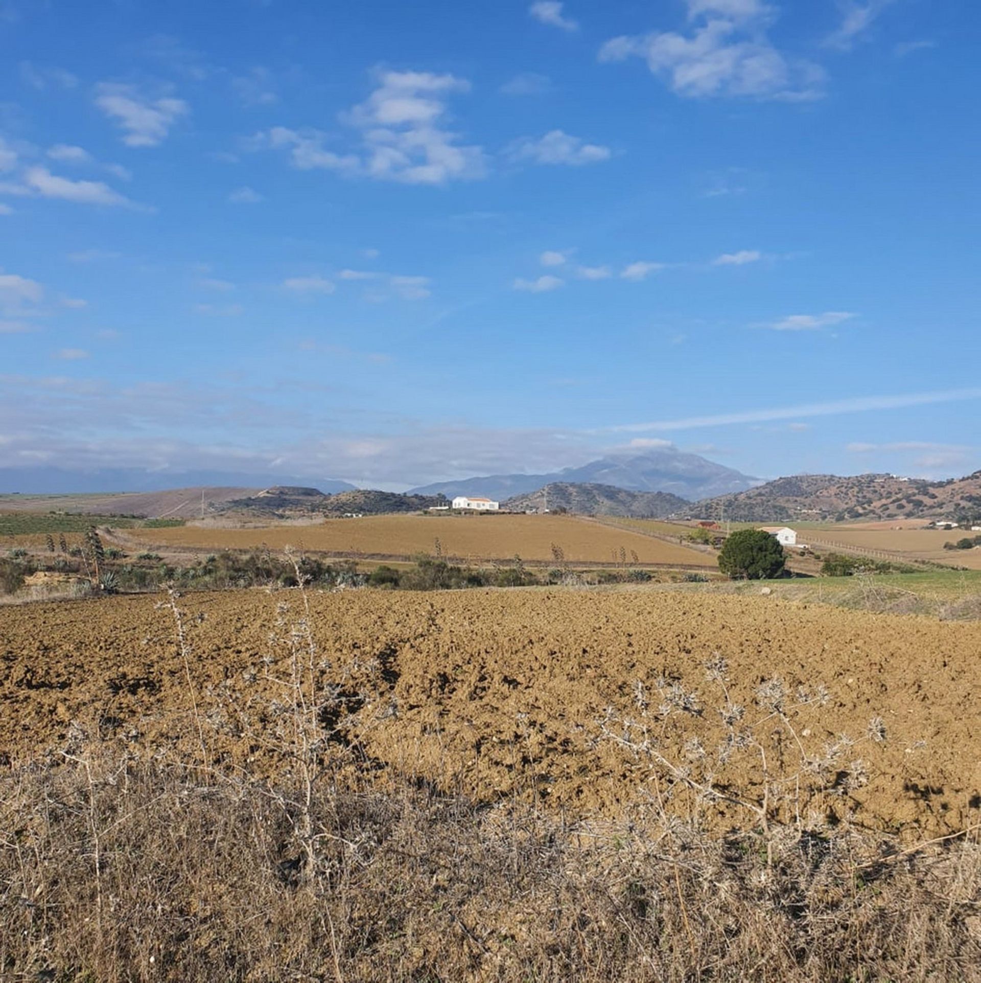 房子 在 Coín, Andalucía 10722164