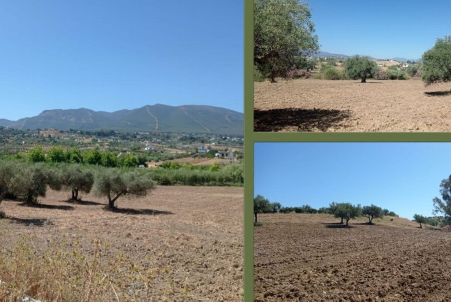 Land i Alhaurin el Grande, Andalusia 10722175