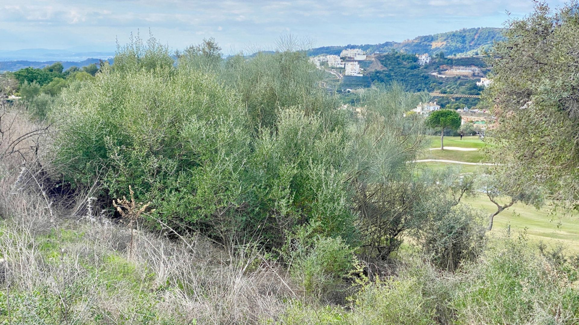 Land in Benahavís, Andalucía 10722180