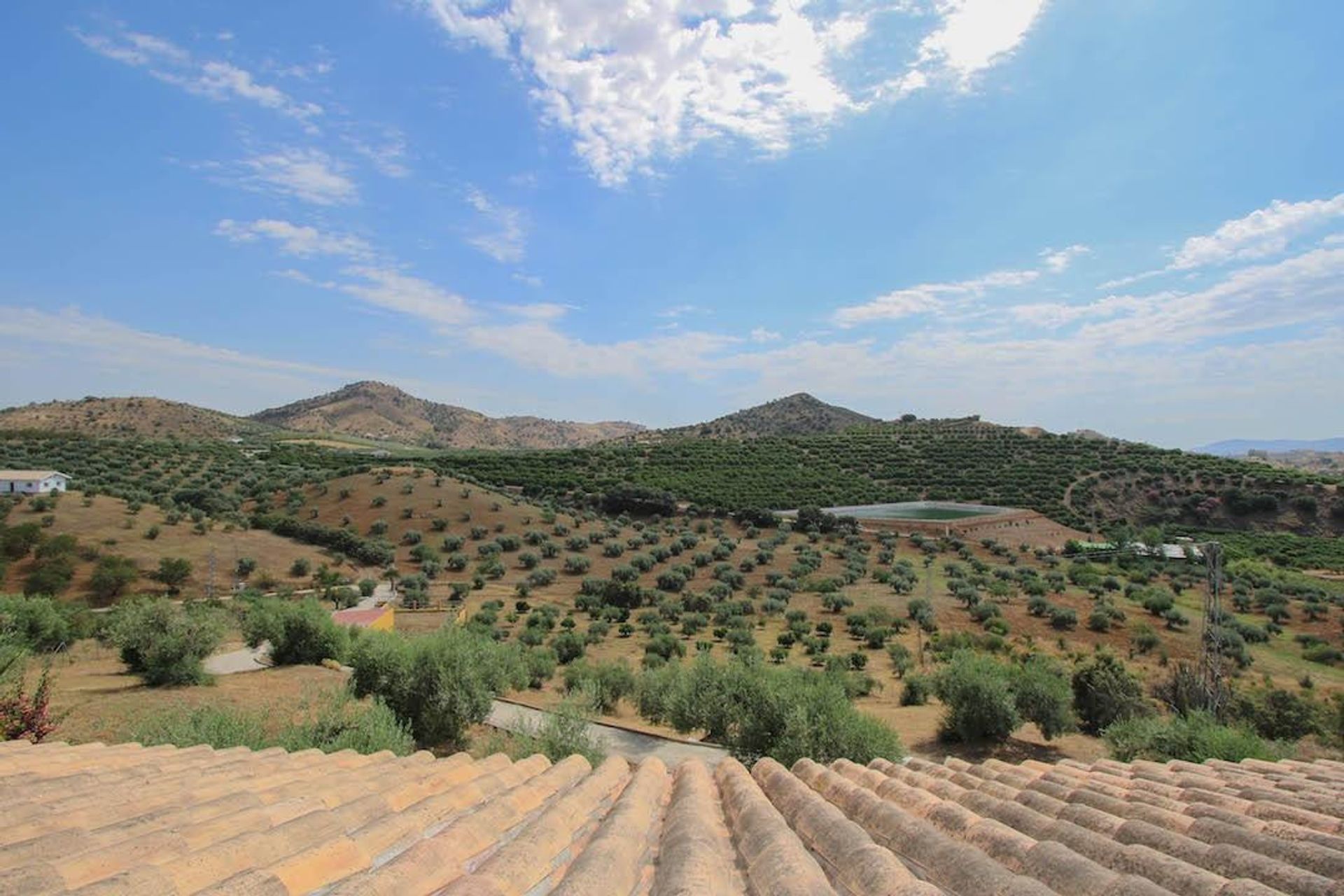 工业的 在 Coín, Andalucía 10722244