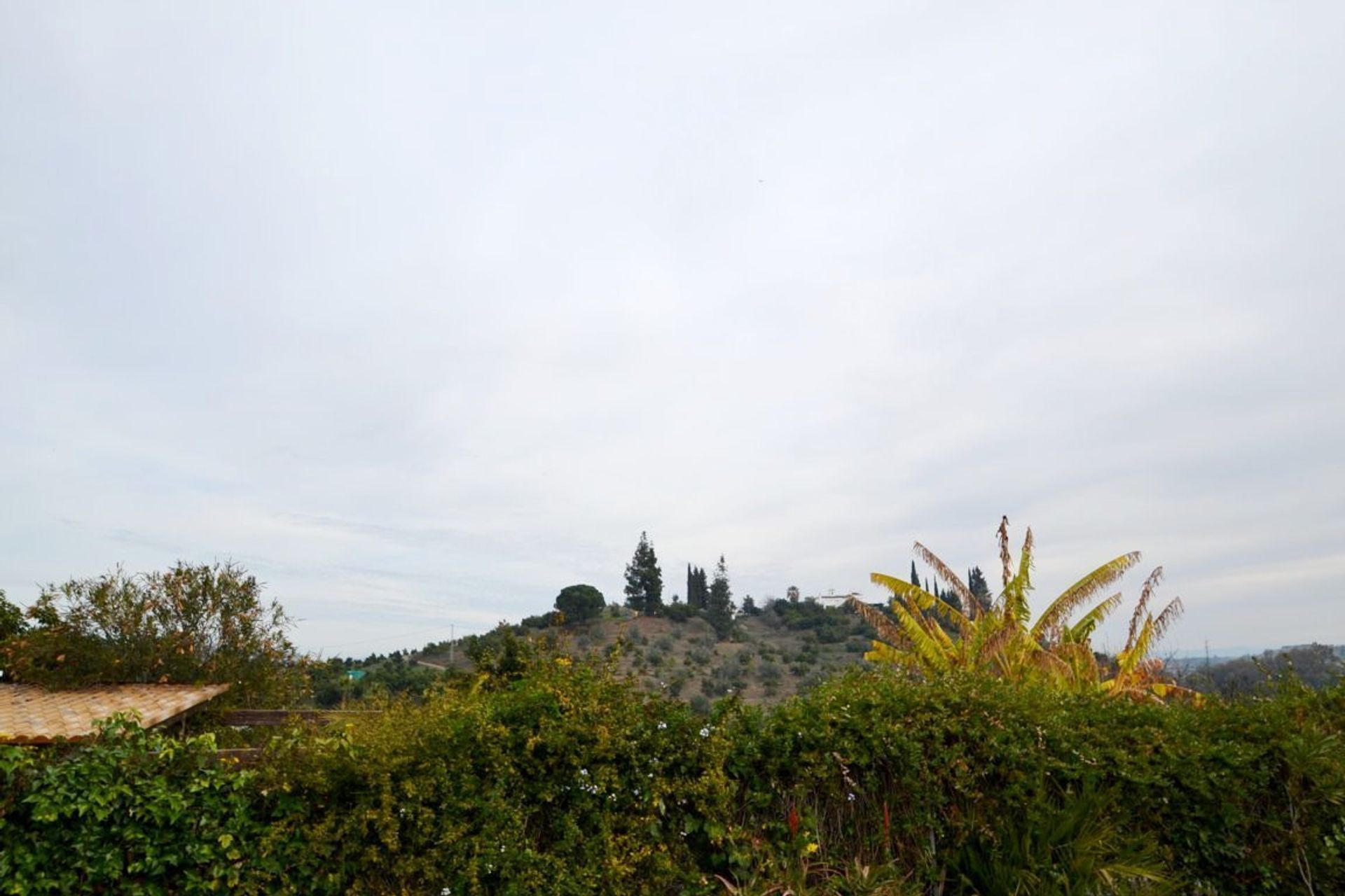 House in Coín, Andalucía 10722247