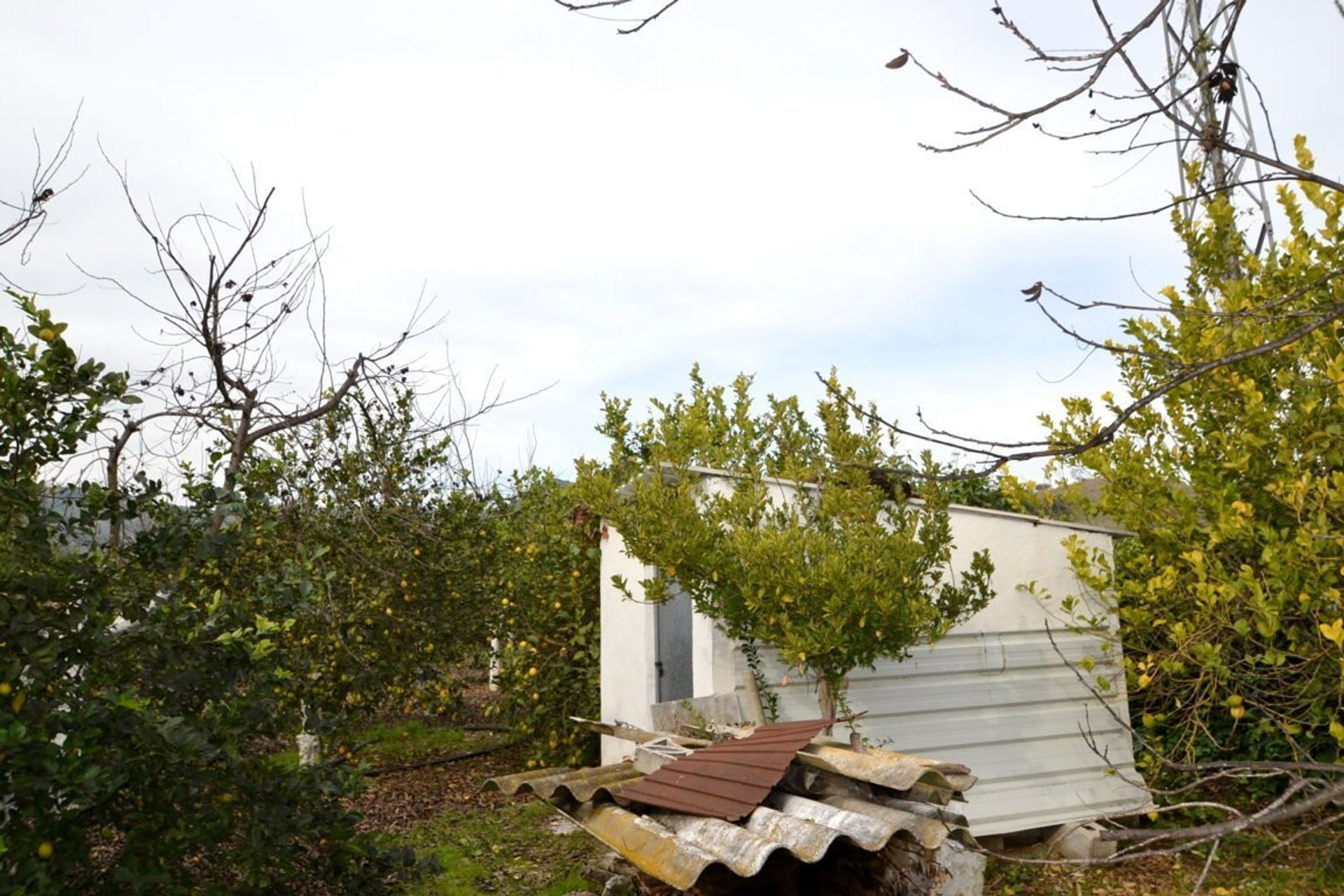 House in Coín, Andalucía 10722247