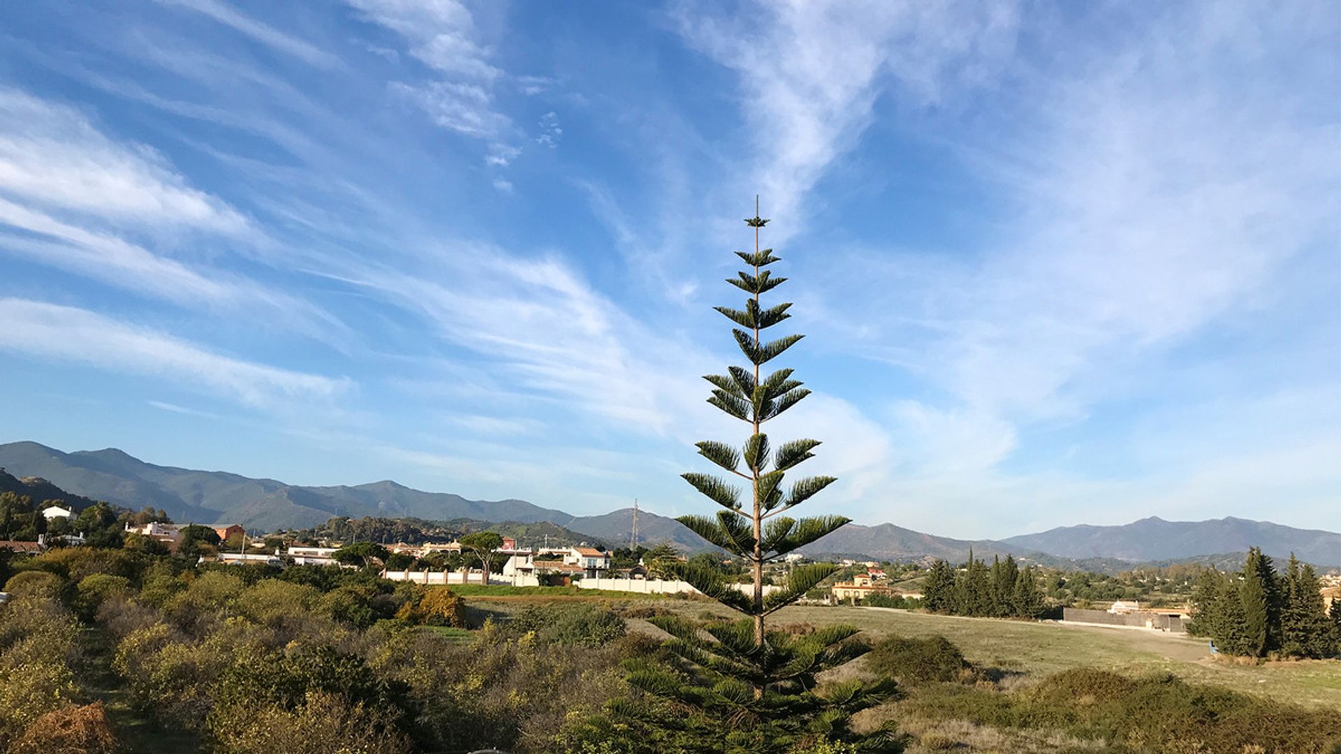 Huis in Estepona, Andalucía 10722300