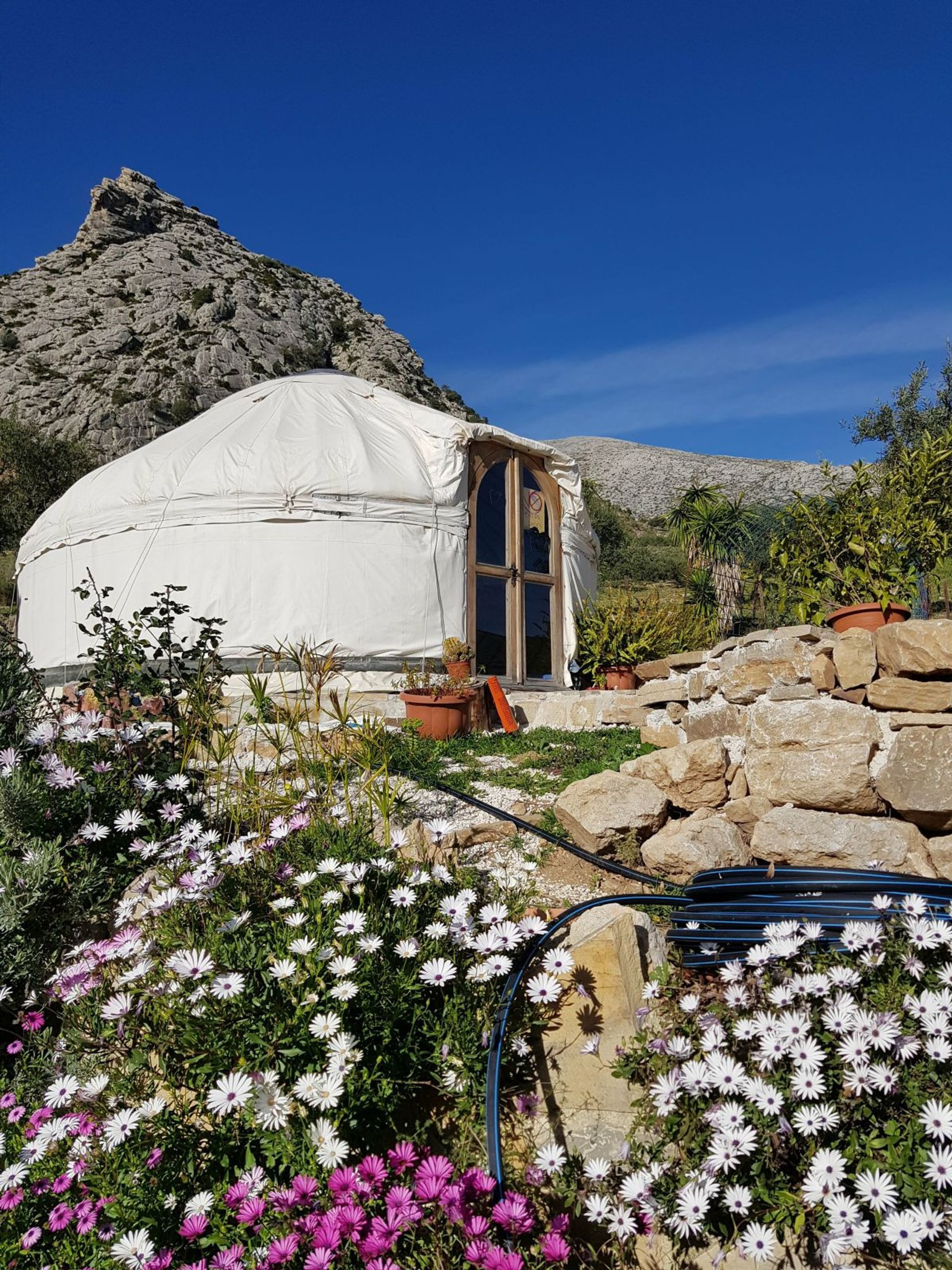 Industri di Valle de Abdalagis, Andalusia 10722441