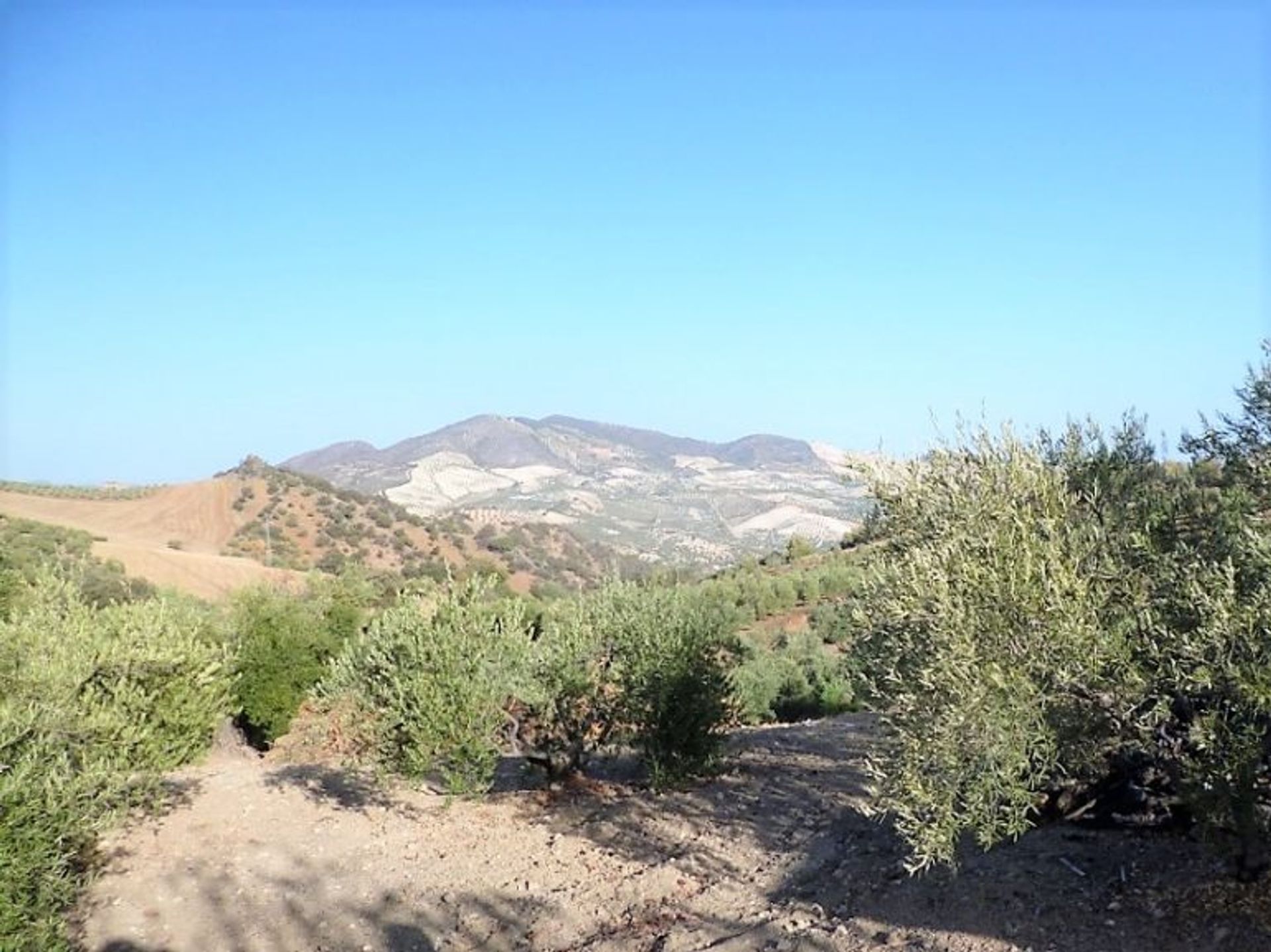 Casa nel Olvera, Andalusia 10722573