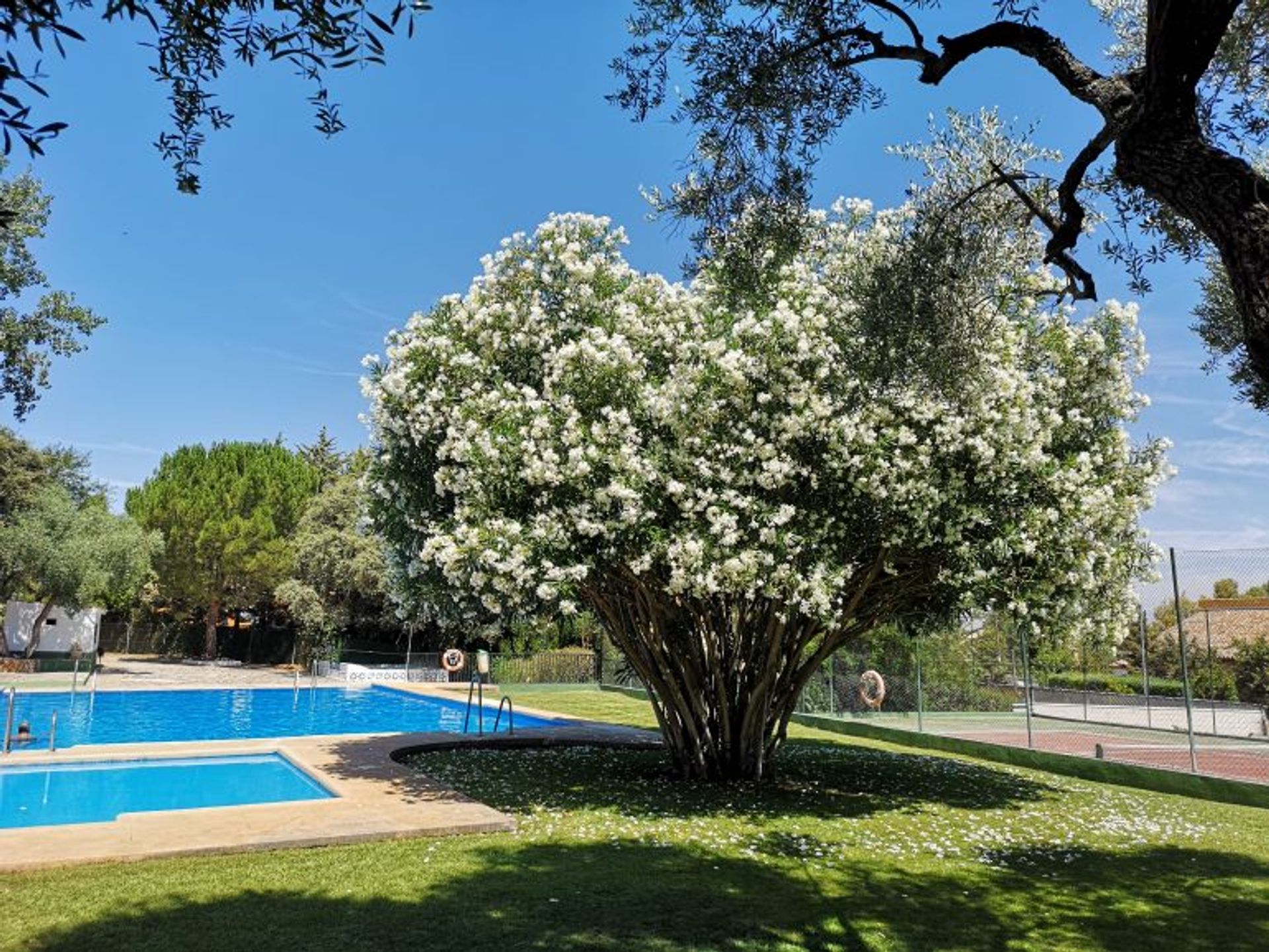 Talo sisään Ronda, Andalucía 10722574