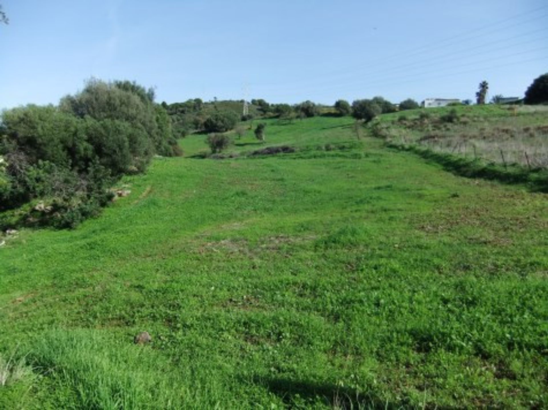 Land in Estepona, Andalucía 10722652