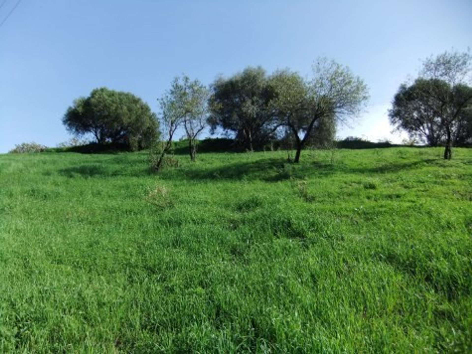 Tanah di Estepona, Andalucía 10722652