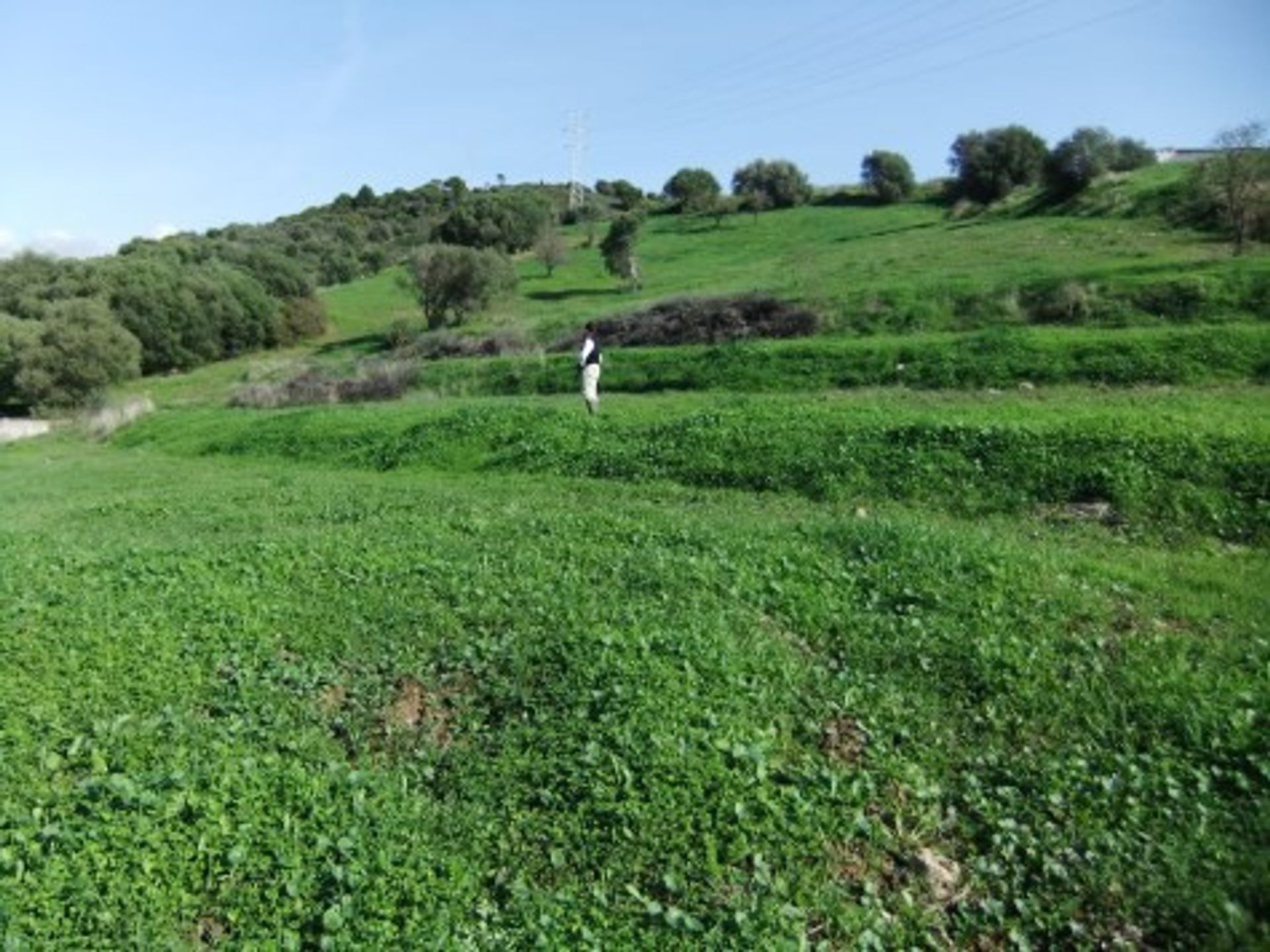 Tanah di Estepona, Andalucía 10722652