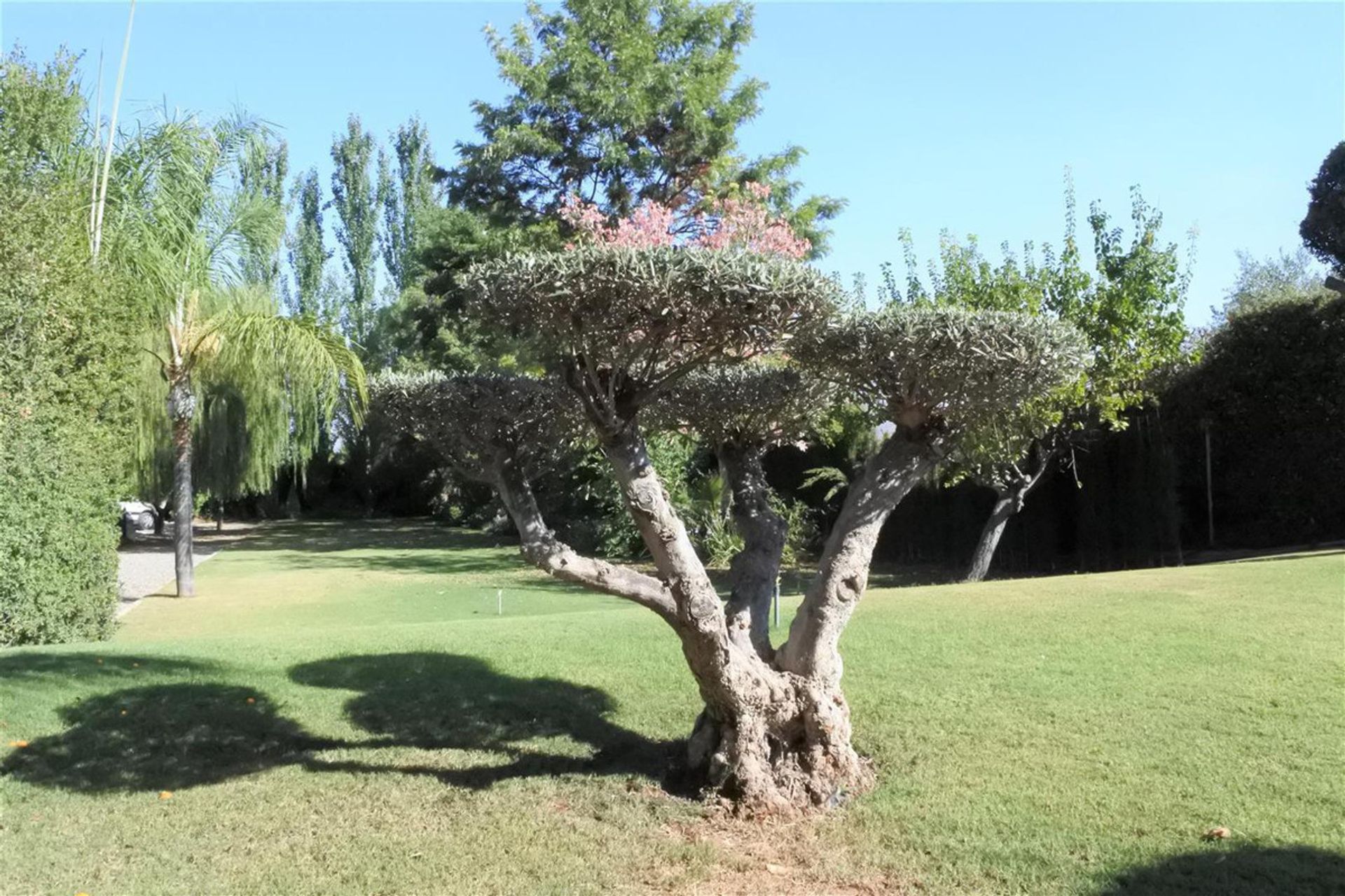 Rumah di Alhaurín el Grande, Andalucía 10722655