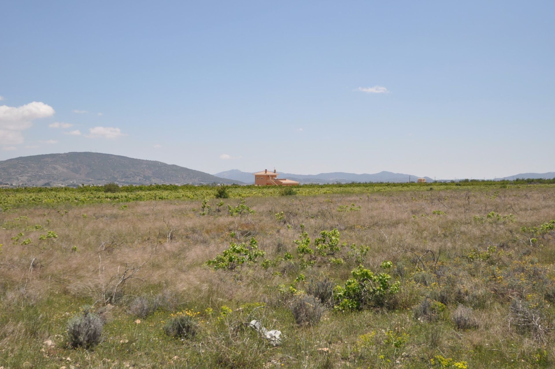 Tierra en Pinoso, Comunidad Valenciana 10722689