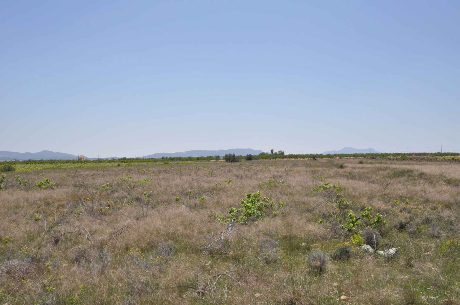 Tierra en Pinoso, Comunidad Valenciana 10722689