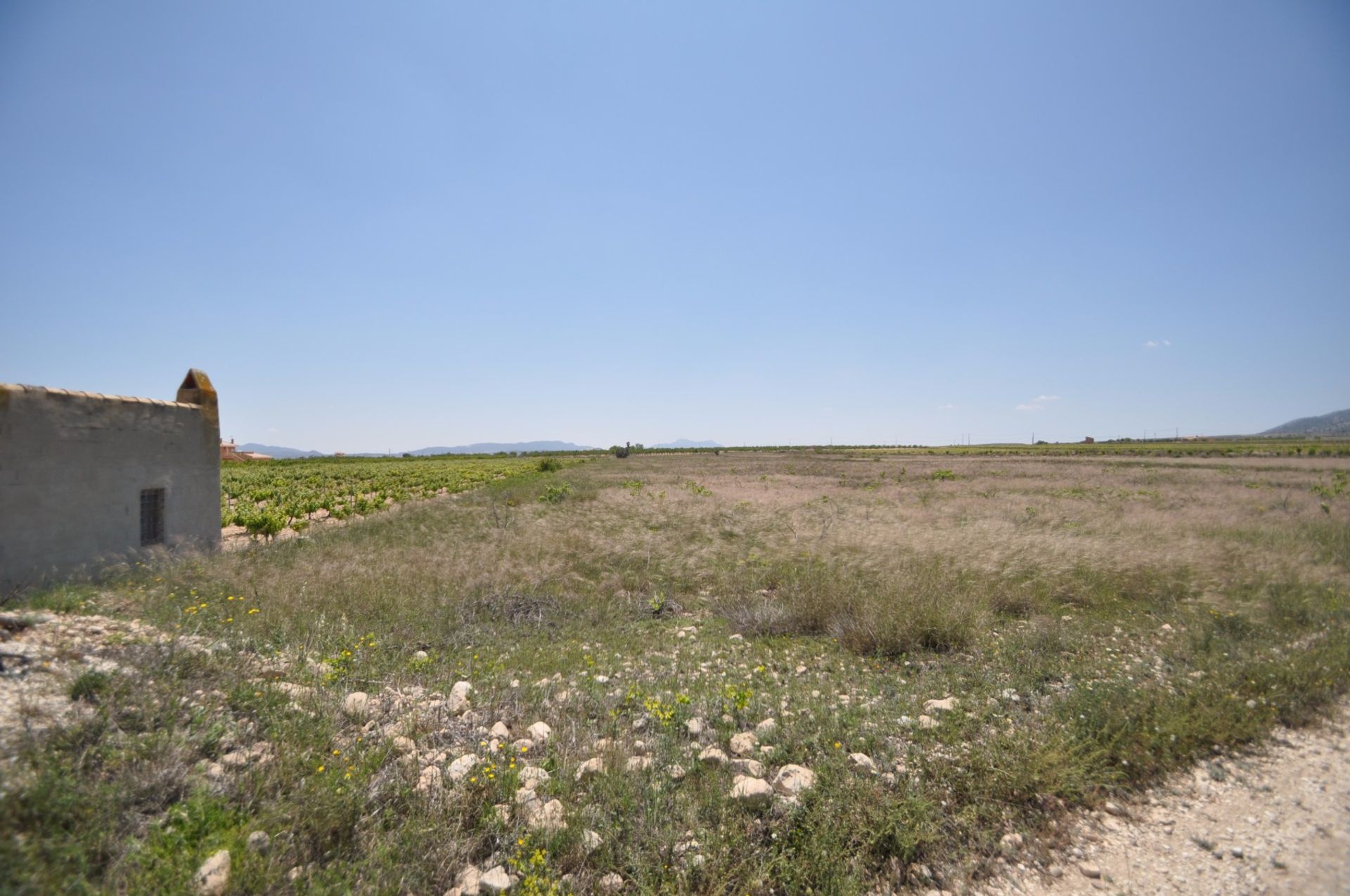 Terra no Pinoso, Comunidad Valenciana 10722689