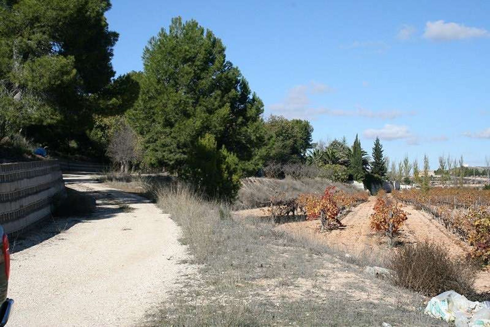 casa en Pinoso, Comunidad Valenciana 10722720