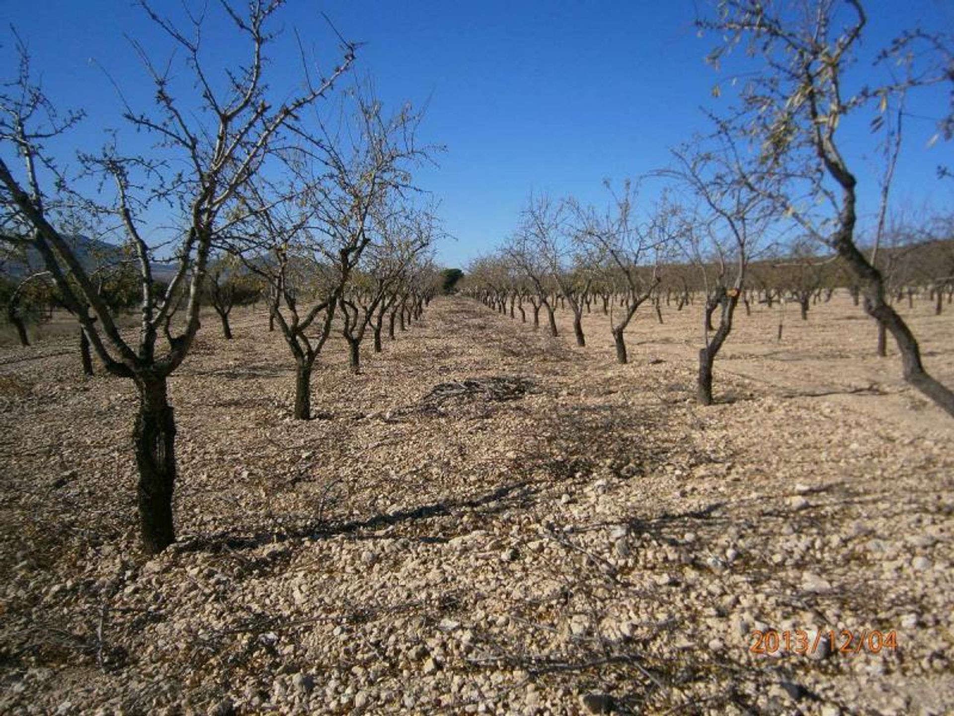 土地 在 Yecla, Región de Murcia 10722732