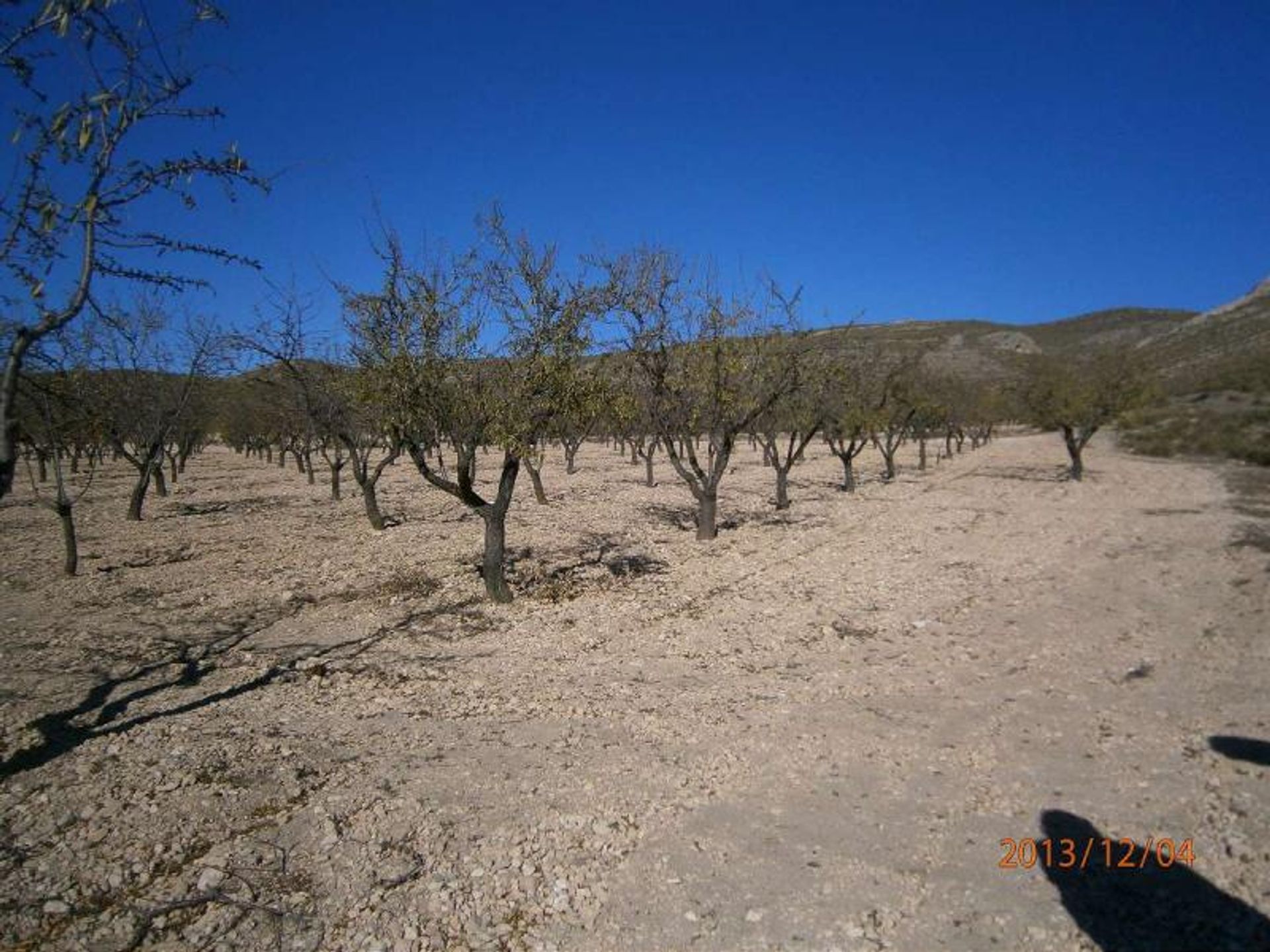 Земля в Yecla, Región de Murcia 10722732