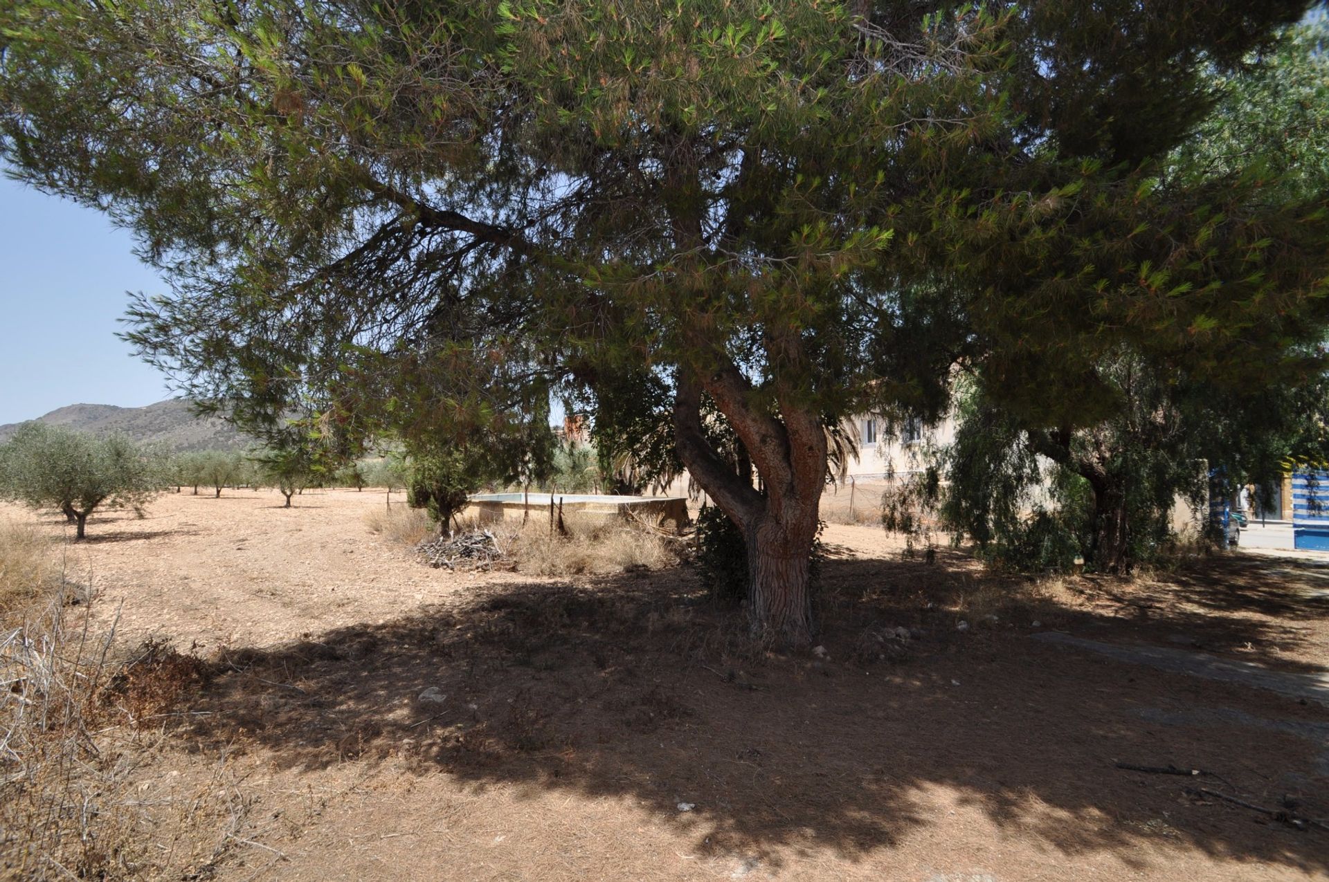 Hus i Cañada de la Leña, Región de Murcia 10722745