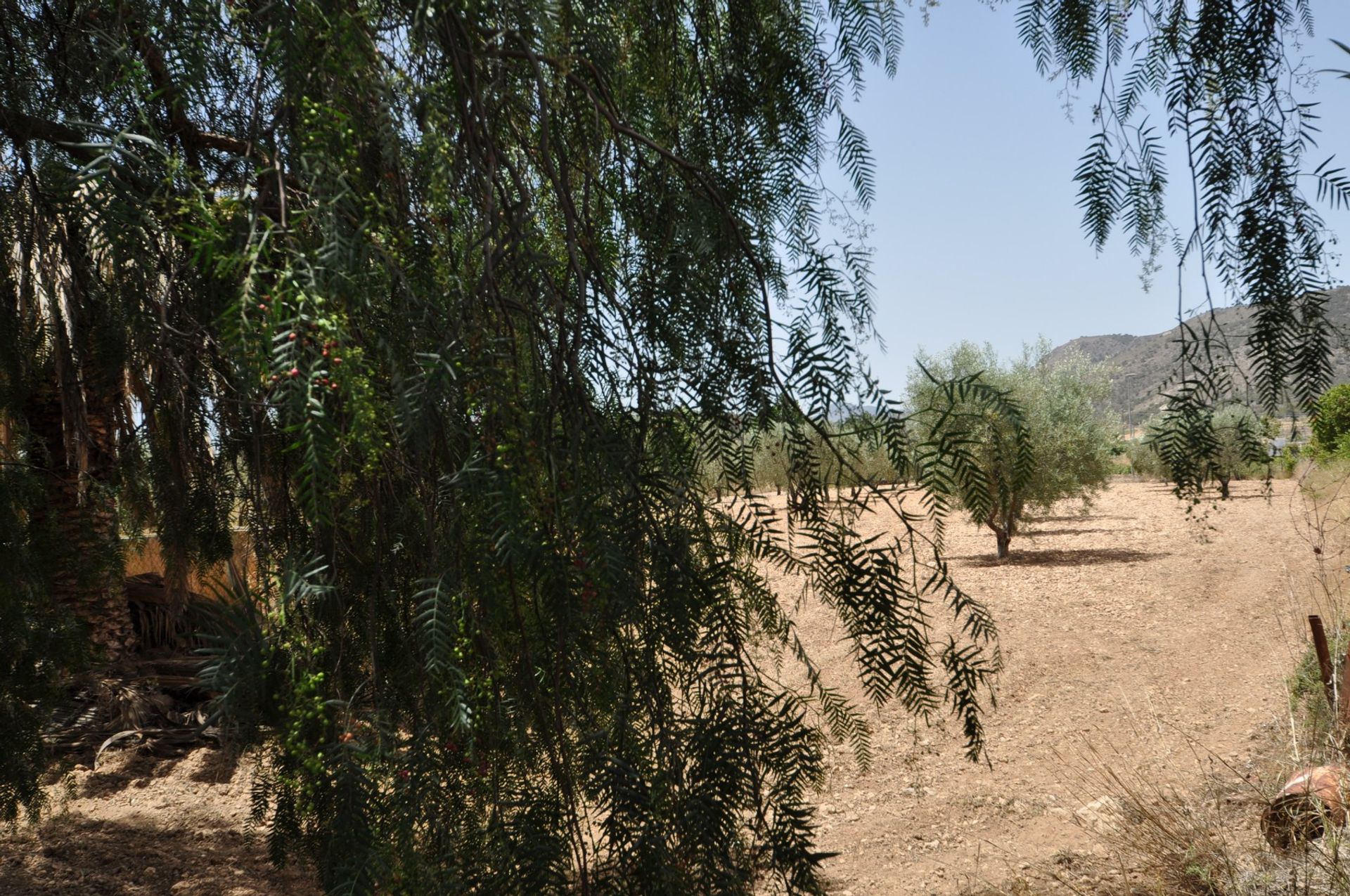 Hus i Cañada de la Leña, Región de Murcia 10722745