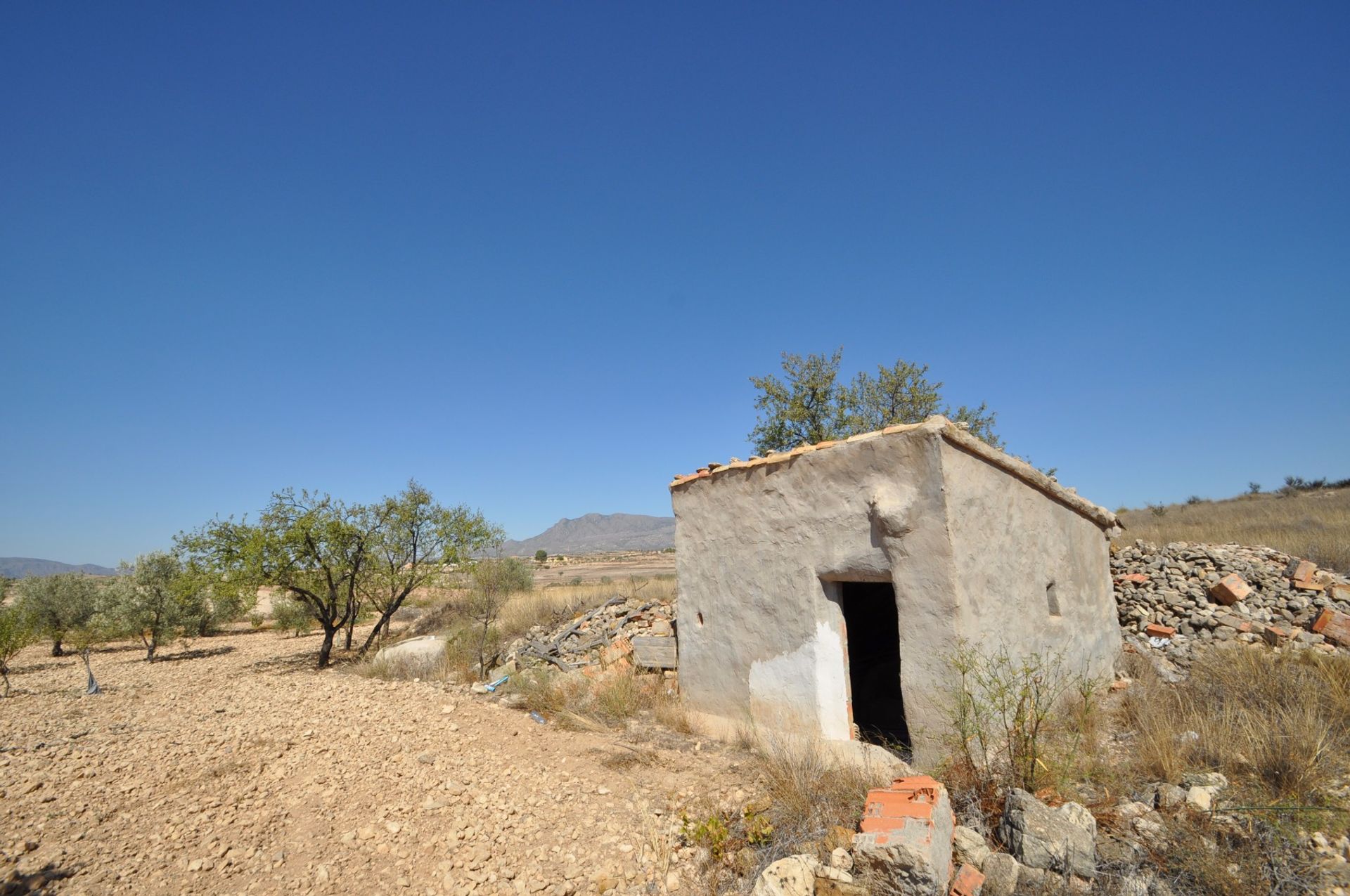 भूमि में Jumilla, Región de Murcia 10722797