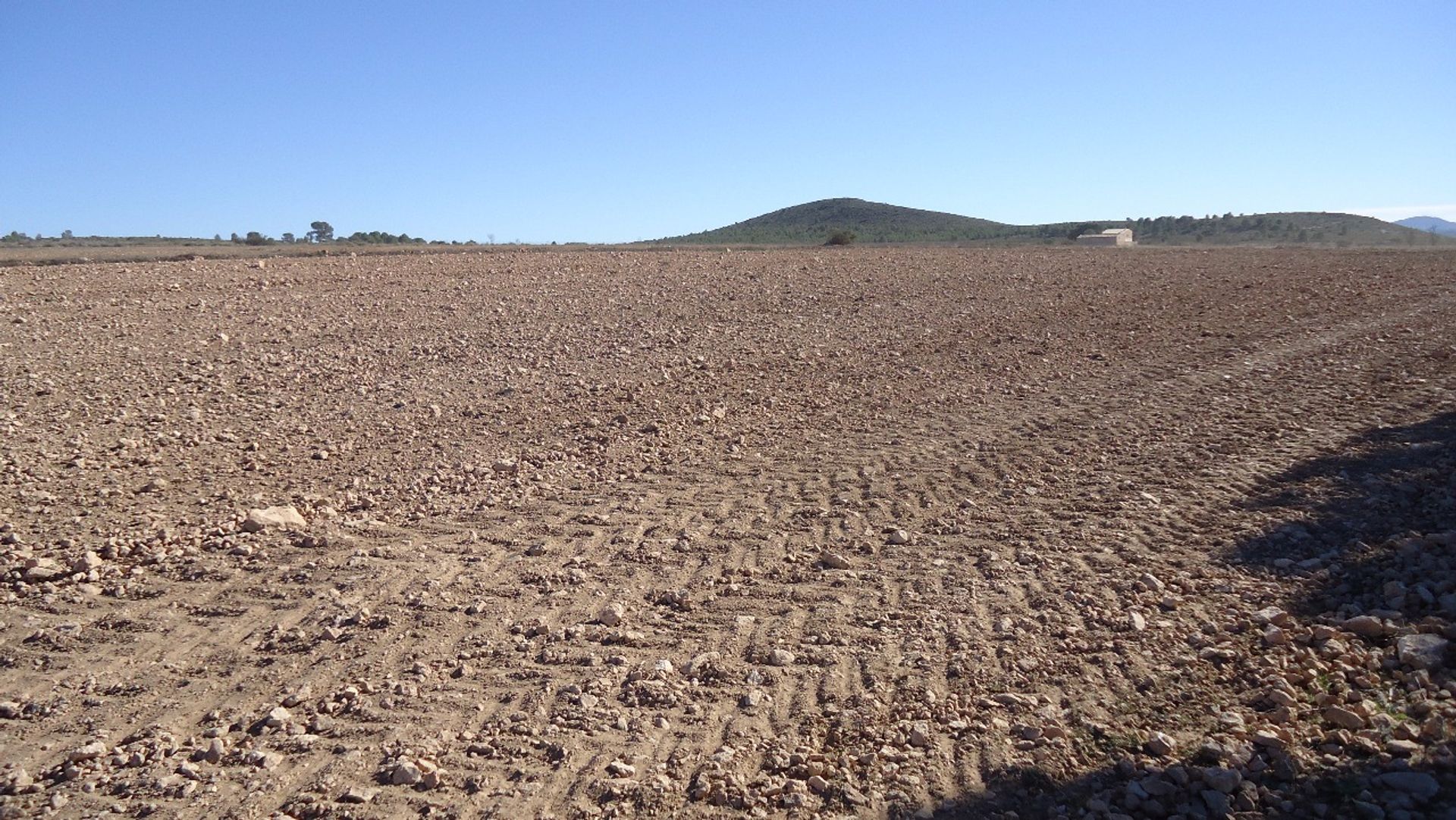 Tanah di Pinoso, Comunidad Valenciana 10722799