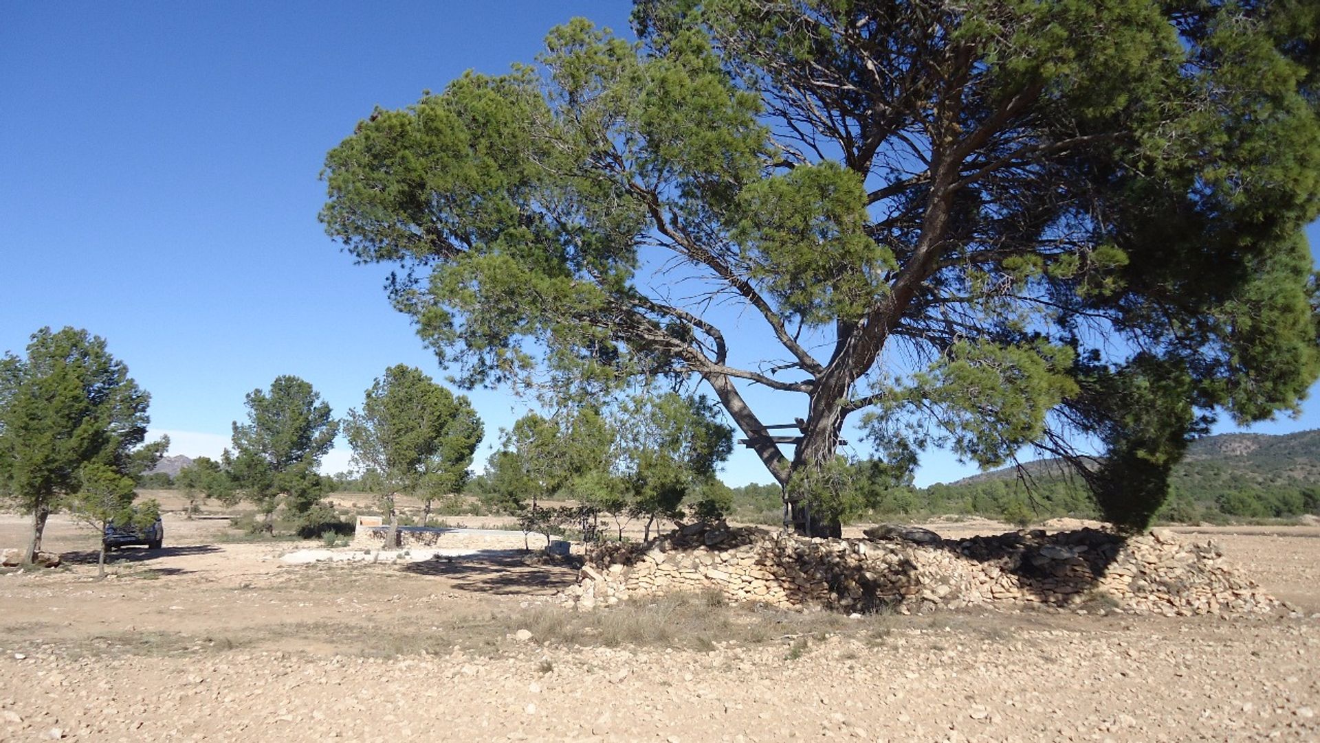 Tanah di Pinoso, Comunidad Valenciana 10722799