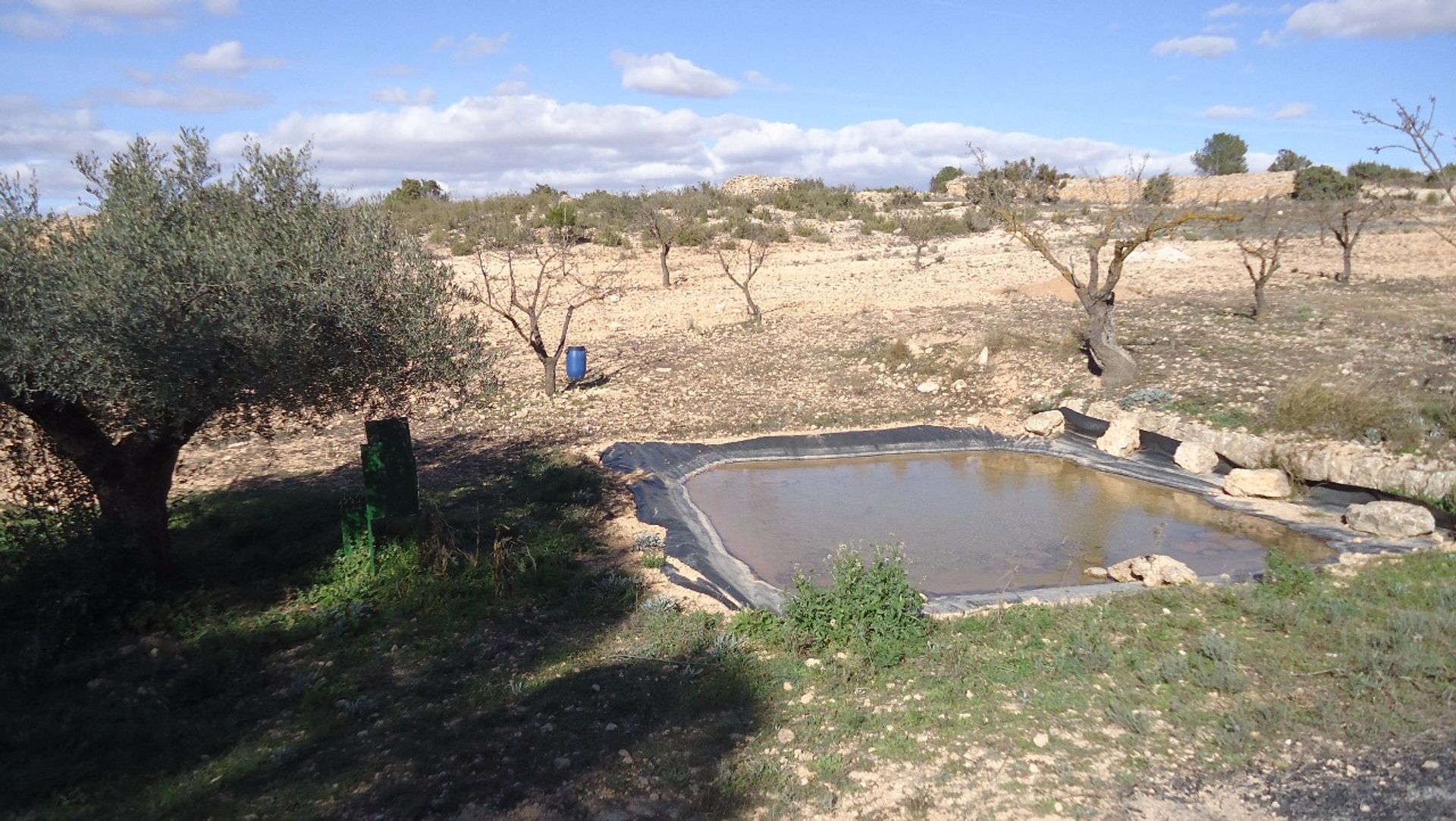 Tanah di Pinoso, Comunidad Valenciana 10722799