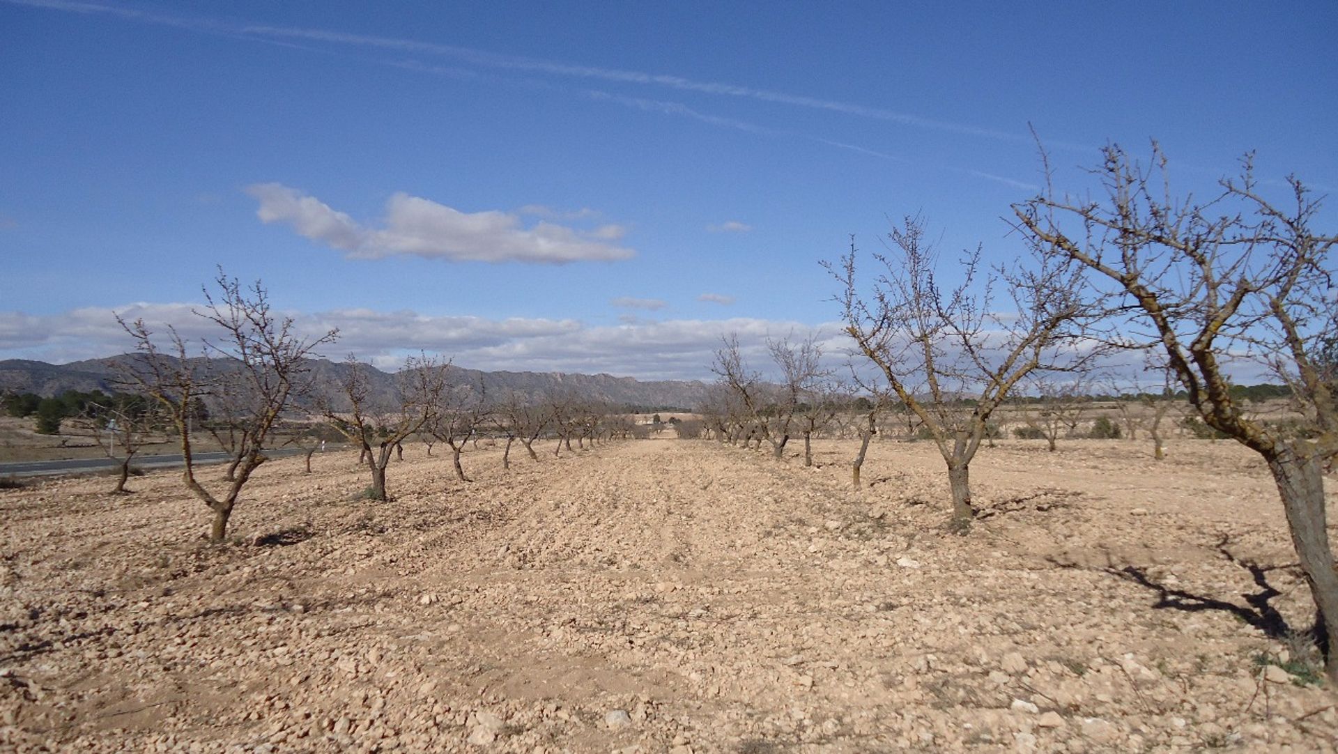 Tanah di Pinoso, Comunidad Valenciana 10722799