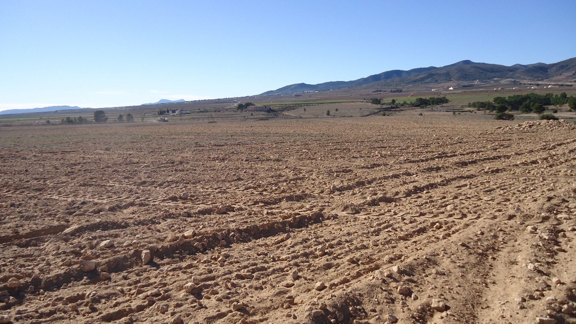 Tanah di Pinoso, Comunidad Valenciana 10722799