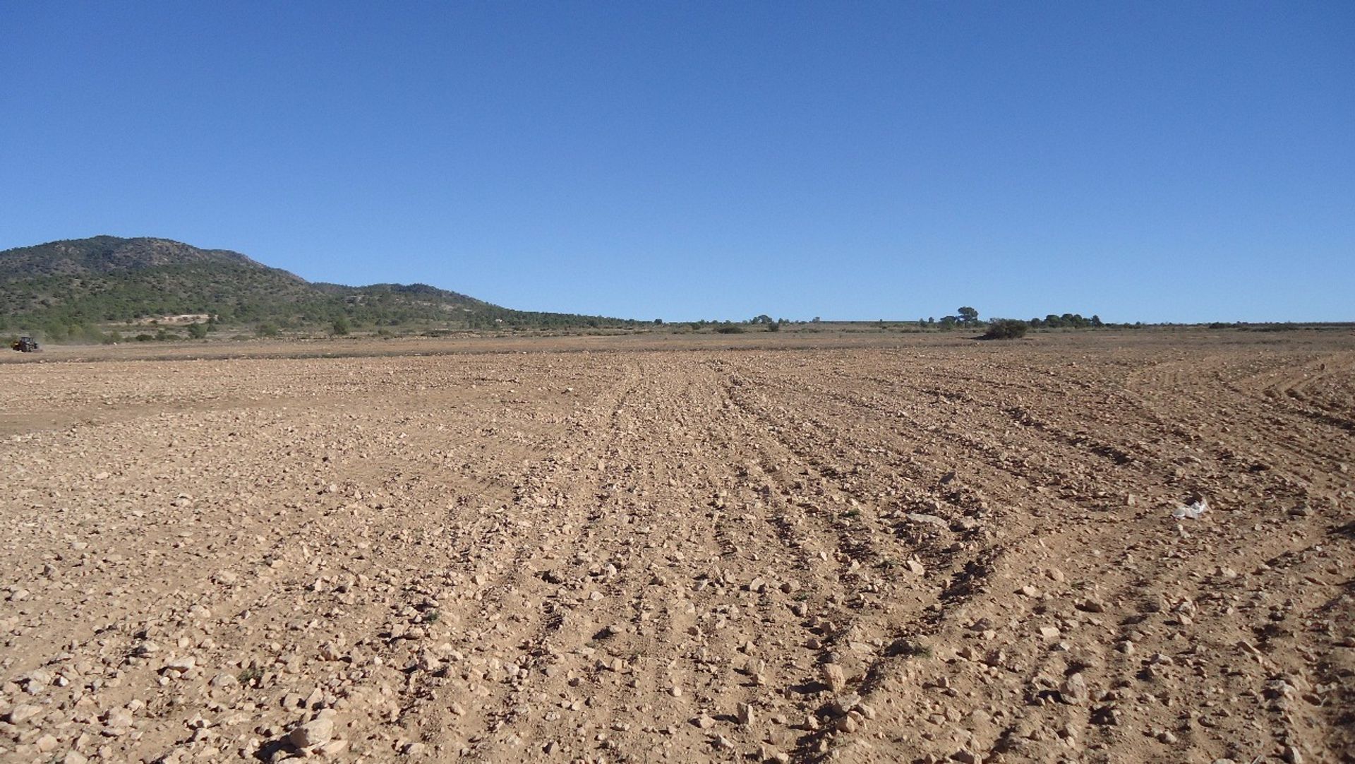 Tanah di Pinoso, Comunidad Valenciana 10722799