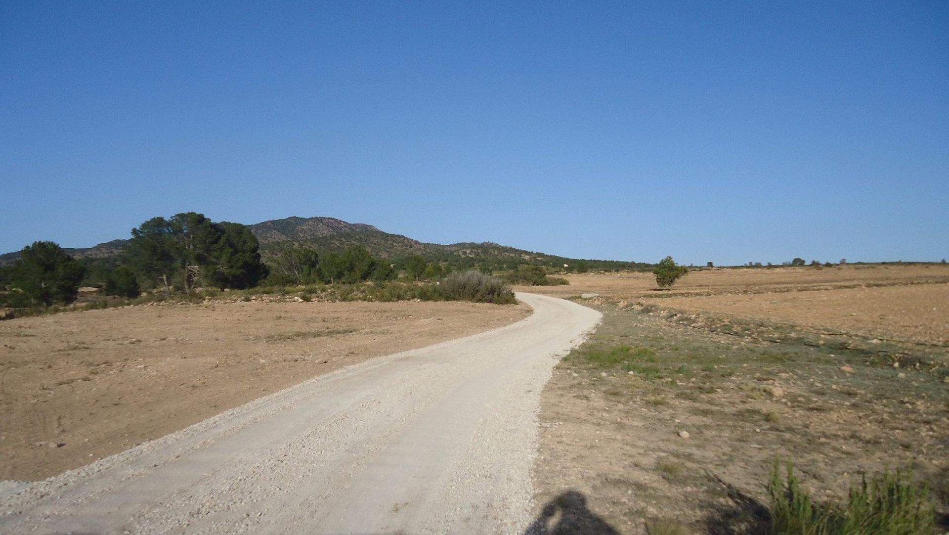 Tanah di Pinoso, Comunidad Valenciana 10722799