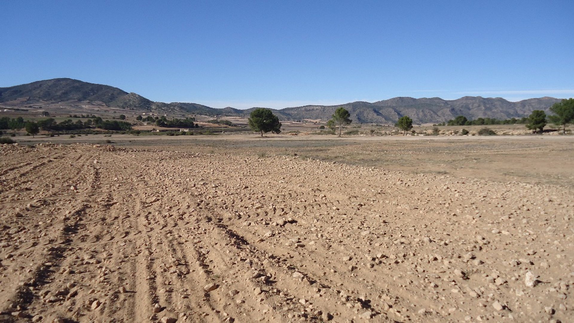 Tanah di Pinoso, Comunidad Valenciana 10722799